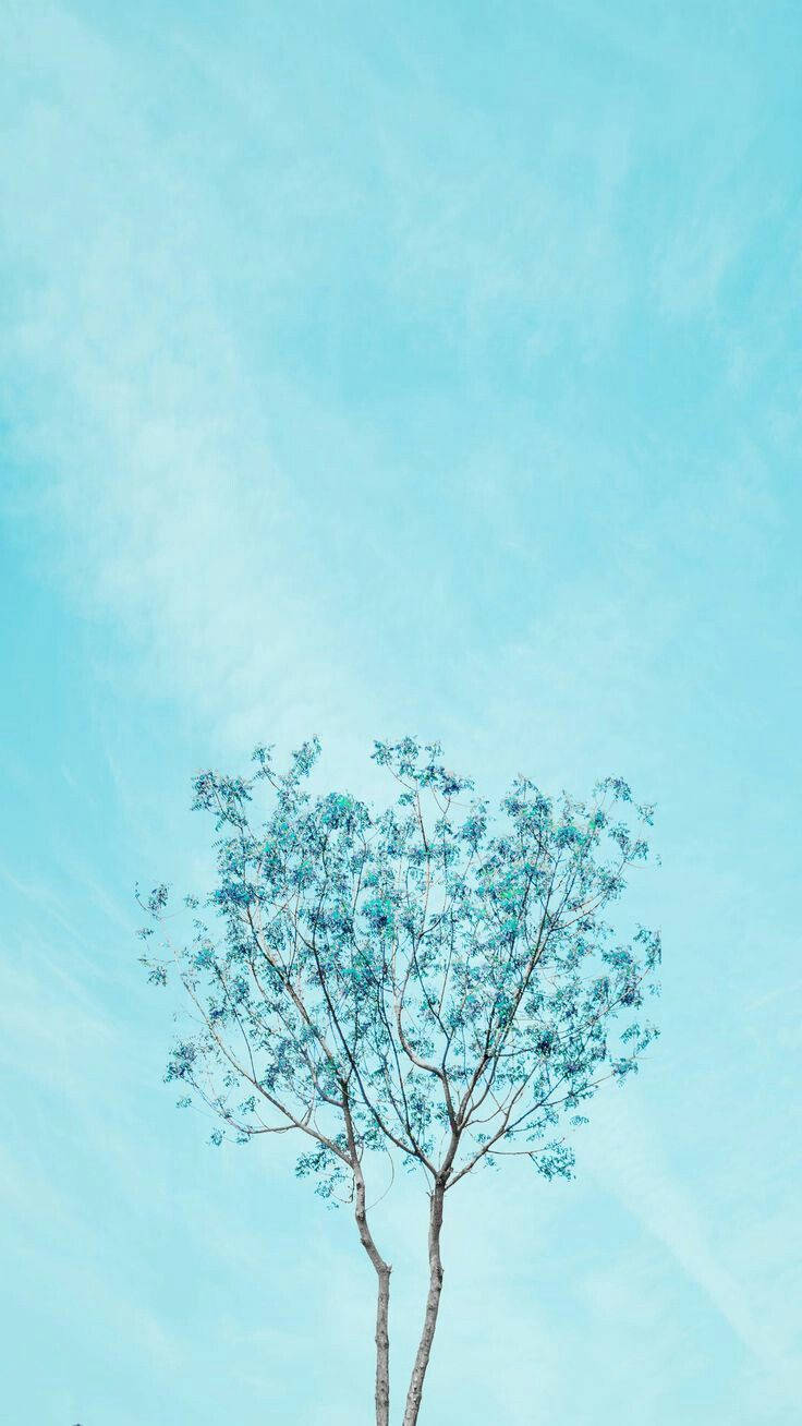 ต้นไม้สวยงามสีฟ้าเรียบง่าย วอลเปเปอร์