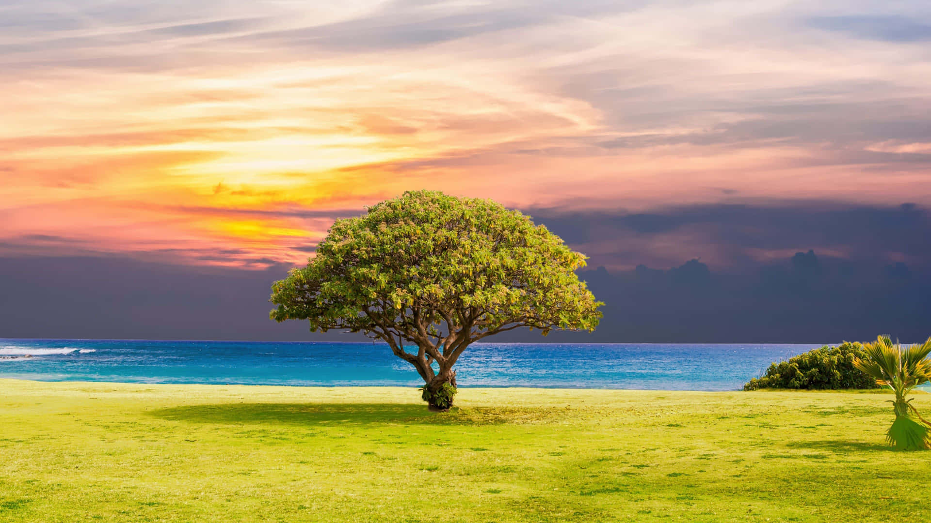 วอลเปเปอร์ทิวทัศน์ 4K Ultra HD — 4K ธรรมชาติ GIF วอลเปเปอร์