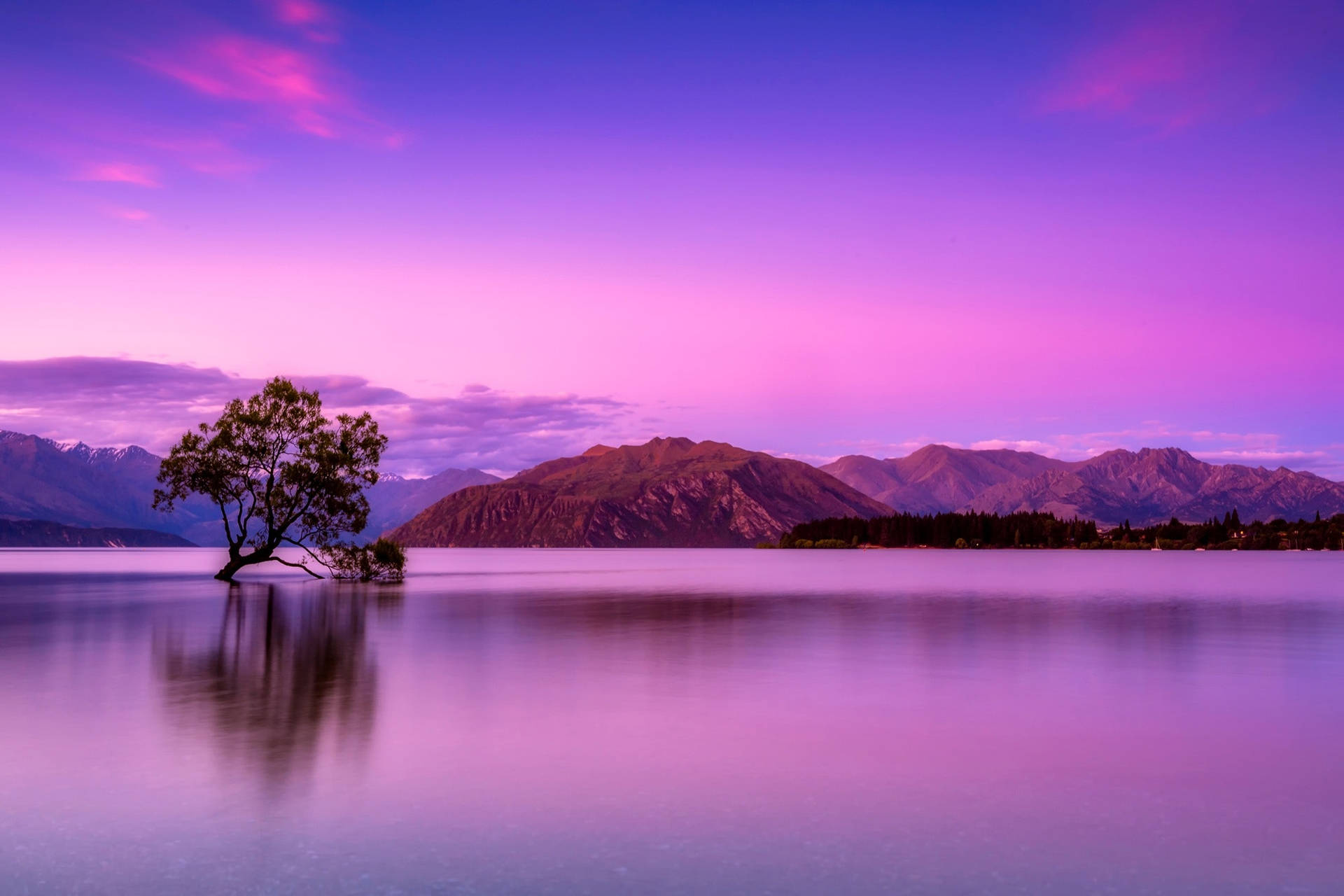 ทะเลสาบระลอกคลื่นสะท้อนภูมิทัศน์ — สีม่วงสวยงาม GIF วอลเปเปอร์