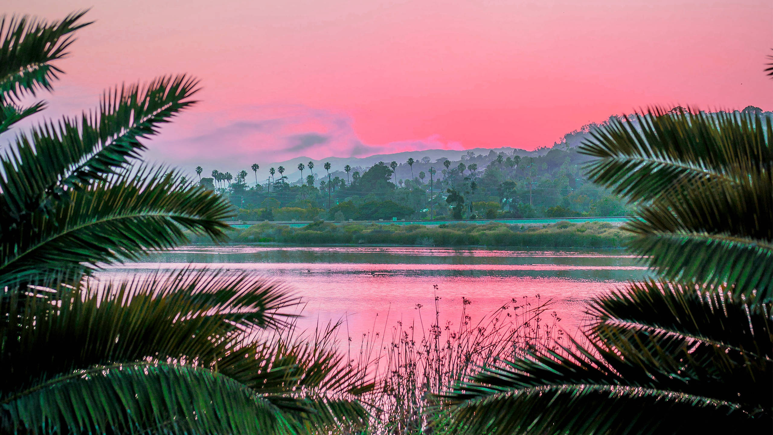 ทิวทัศน์ฤดูร้อนสีชมพูสไตล์อีสเทติก 2560x1440 วอลเปเปอร์