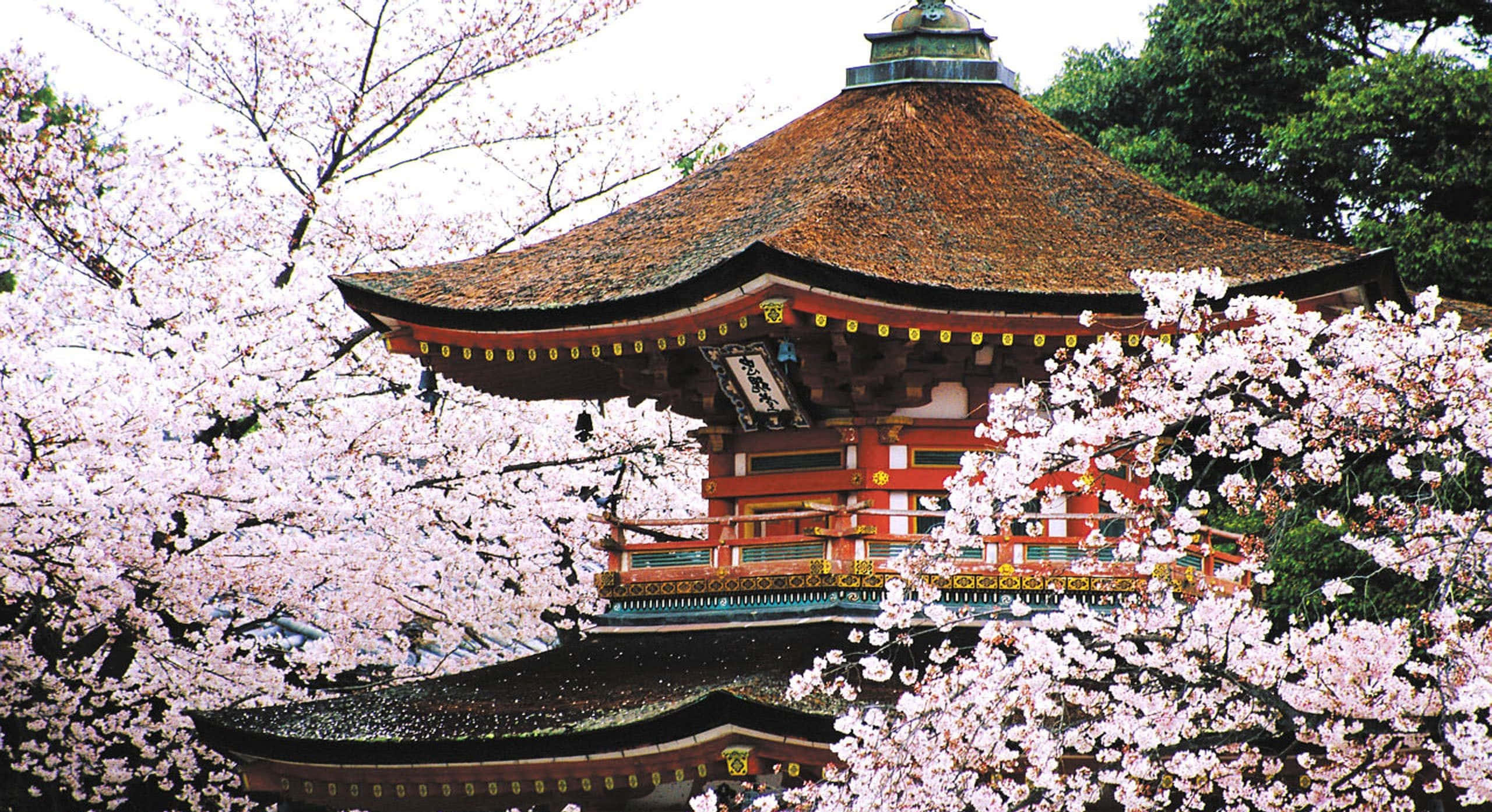 ทิวทัศน์สวยงามของทะเลสาบมรกต ฮอกไกโด ญี่ปุ่น วอลเปเปอร์