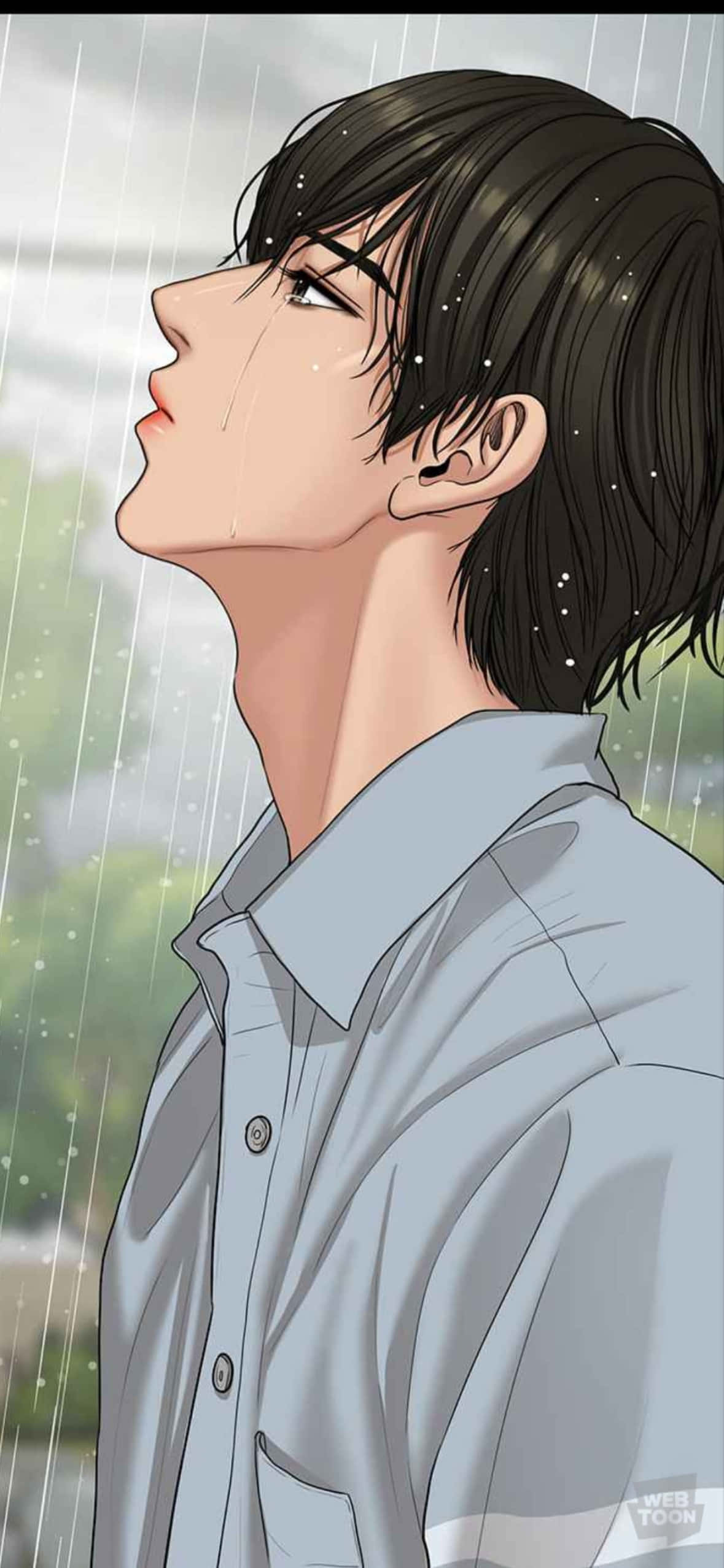 ทุ่งฝ้ายยามรุ่งอรุณ วอลเปเปอร์