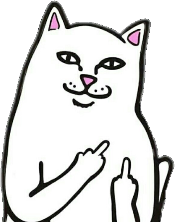 ท่าทางแมวซ่าส์มีม วอลเปเปอร์
