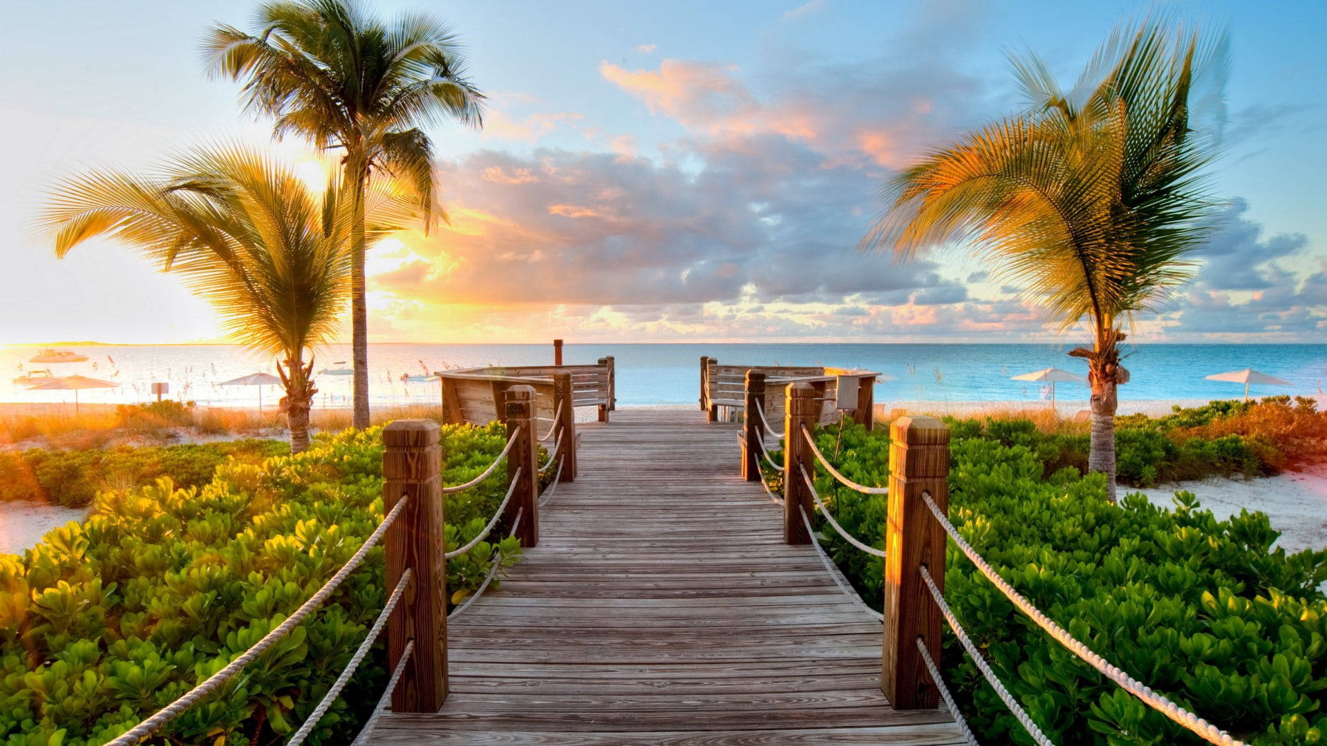 ท่าเรือไม้ยามพระอาทิตย์ตกกับต้นปาล์ม วอลเปเปอร์