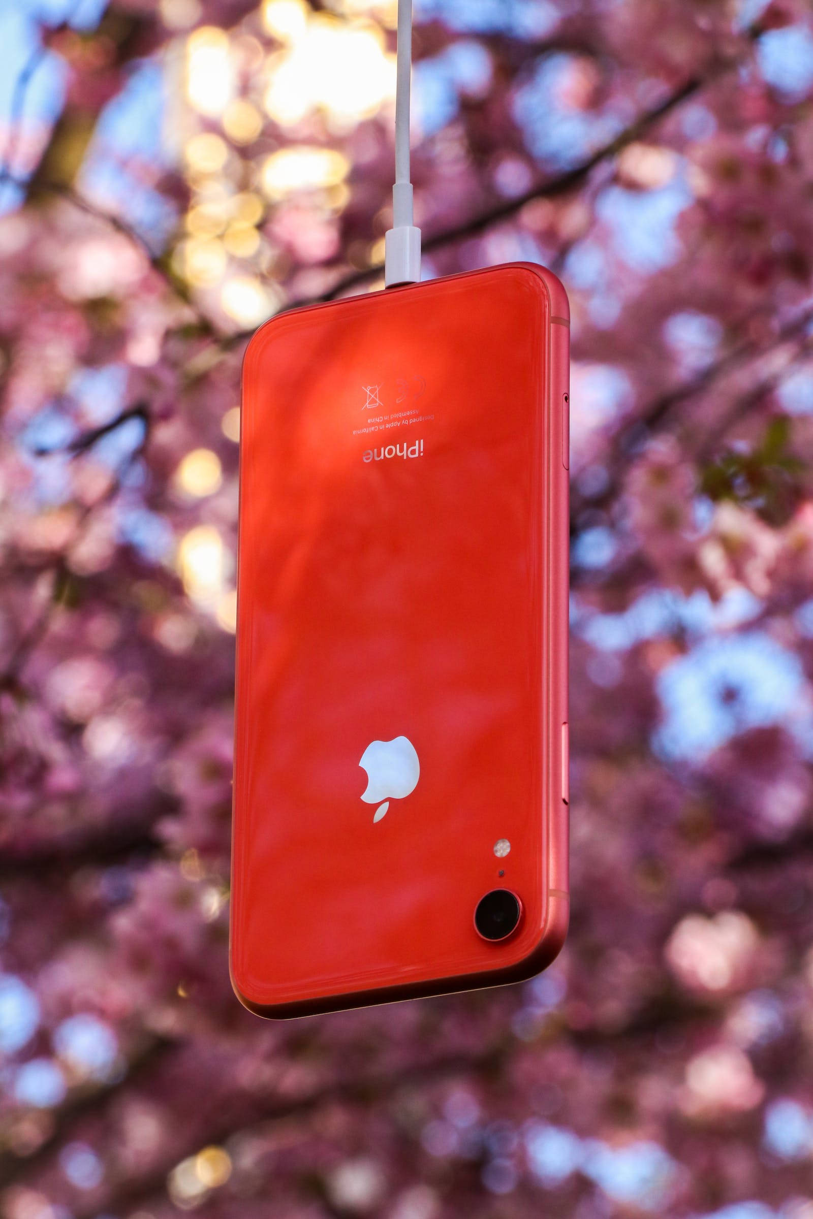 ธรรมชาติ iPhone สีแดง วอลเปเปอร์