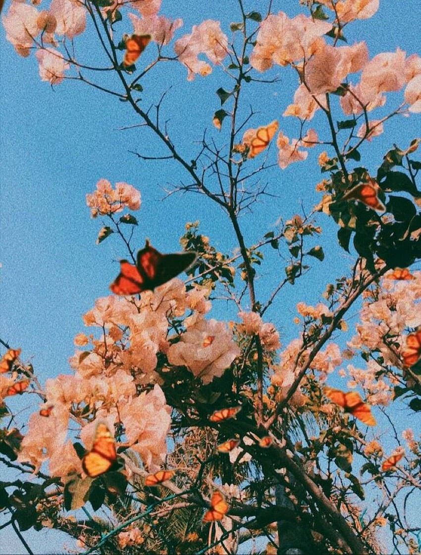 ธีมหน้าจอคอมพิวเตอร์สปริงสวยงาม วอลเปเปอร์