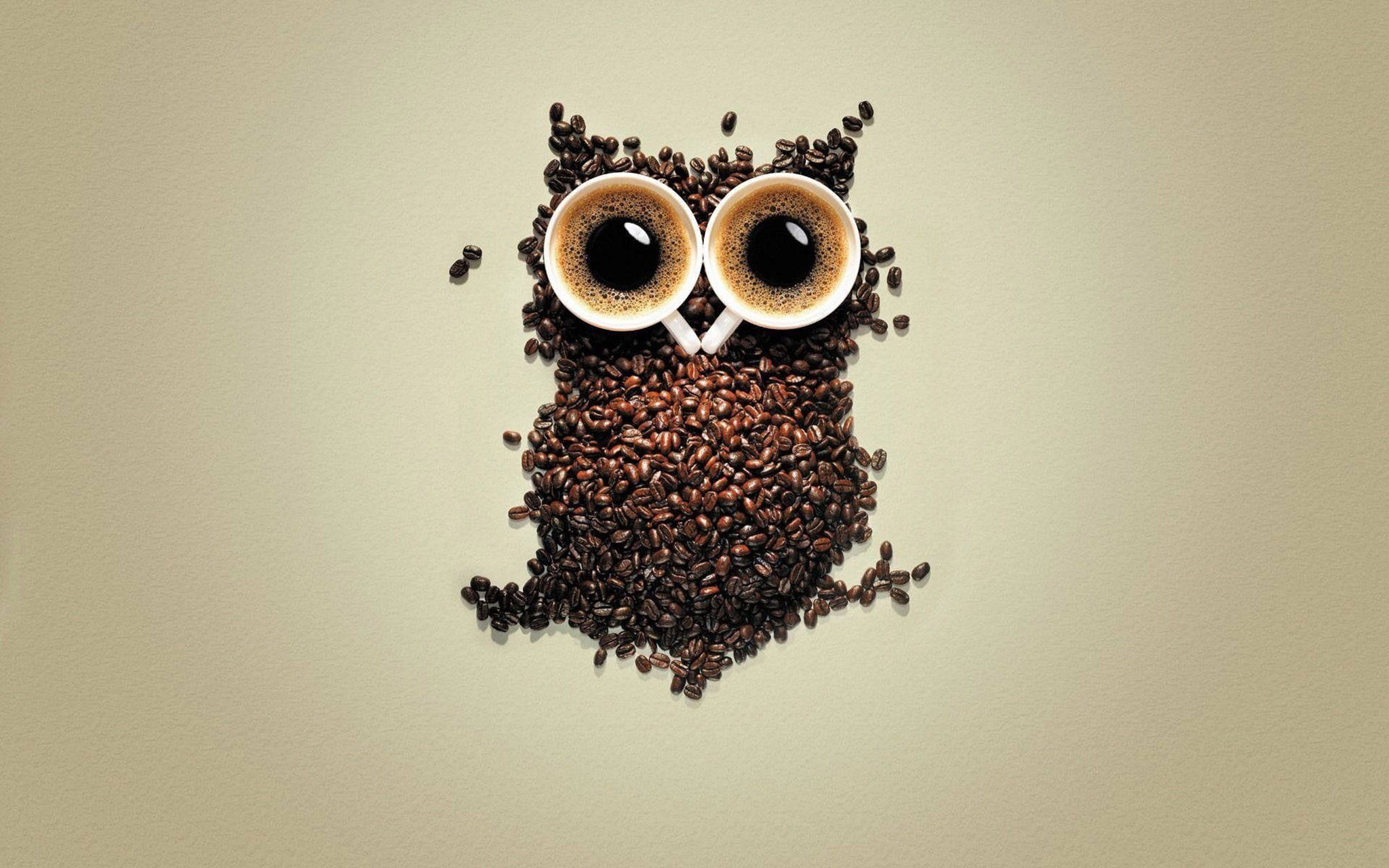 นกฮูกน่ารักจากเมล็ดกาแฟ วอลเปเปอร์
