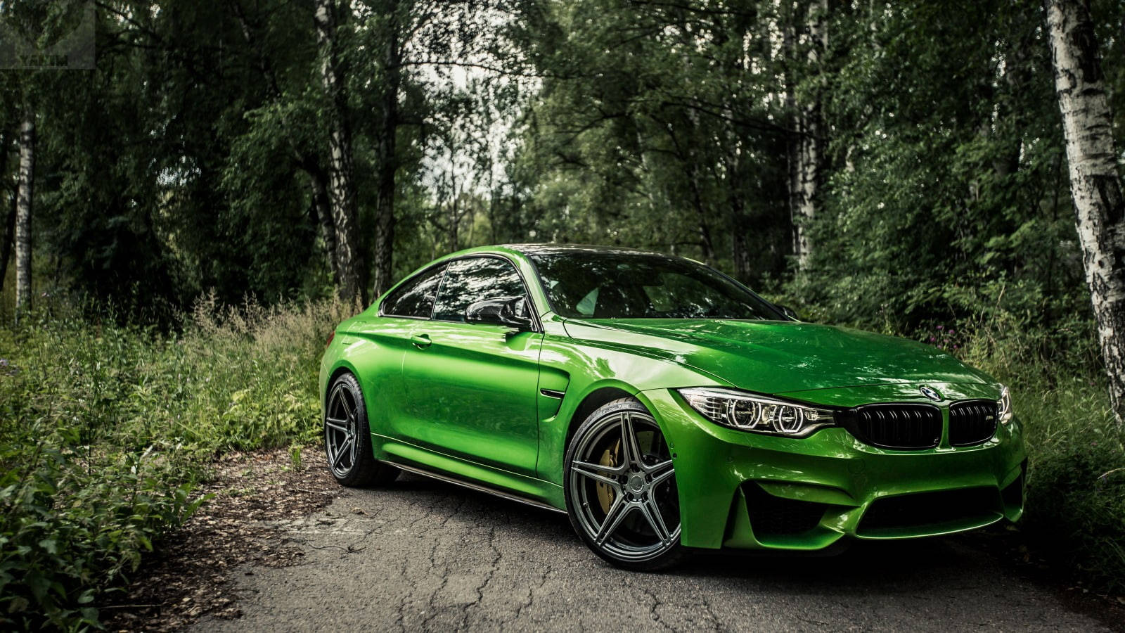 บีเอ็มดับเบิลยู M4 สีเขียวสุดสง่า ครางคำรามกลางป่า วอลเปเปอร์