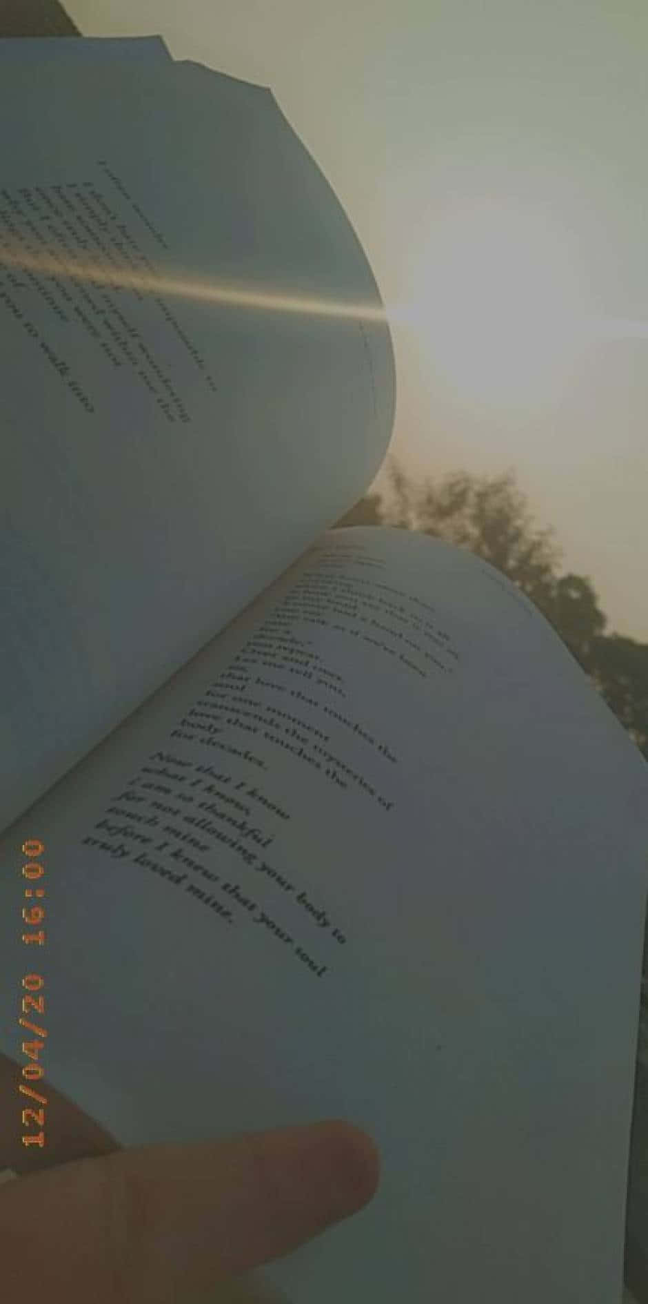 "ปล่อยจินตนาการของคุณให้โลดแล่นไปกับหนังสือในมือ" วอลเปเปอร์