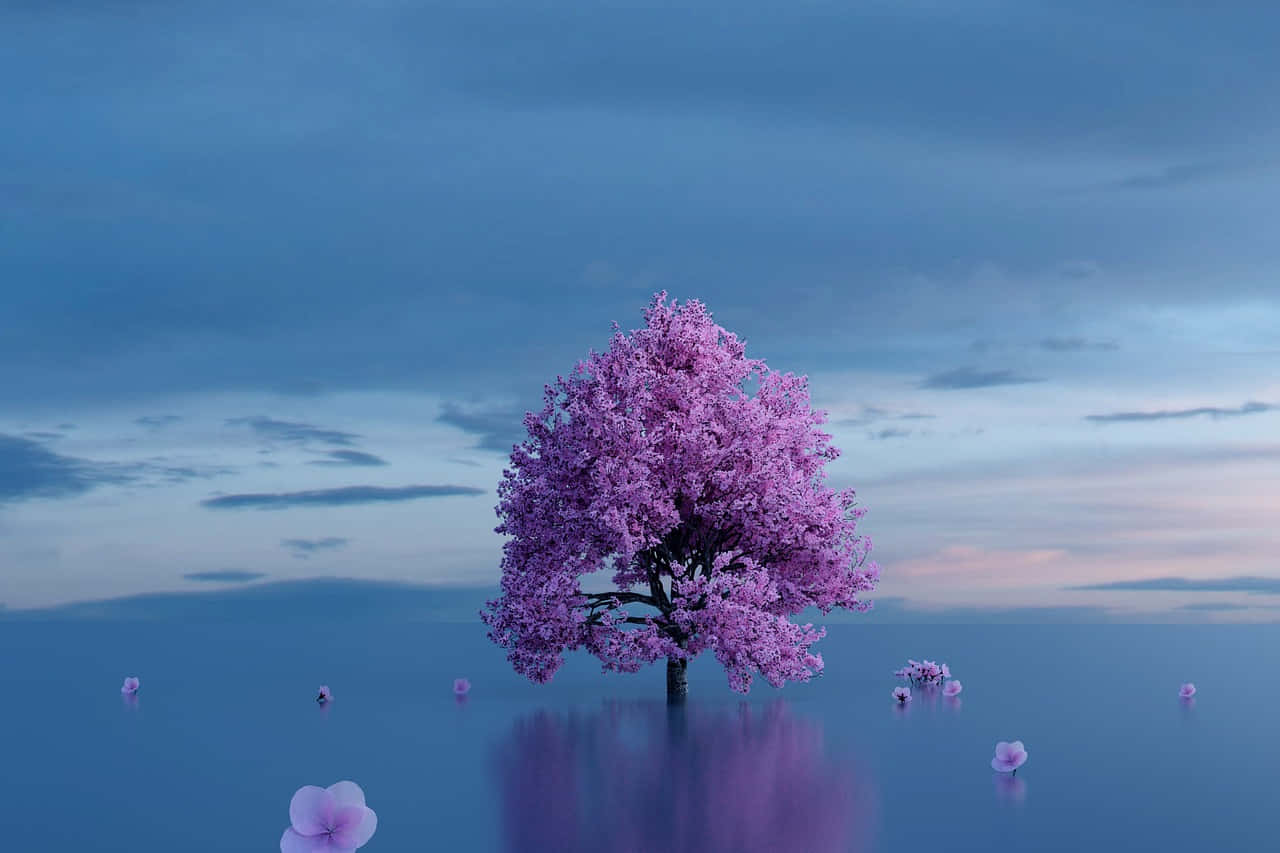 ป่าเขตอบอุ่นในสีสันฤดูใบไม้ร่วง ช่างเป็นทัศนียภาพที่งดงามจริงๆ วอลเปเปอร์