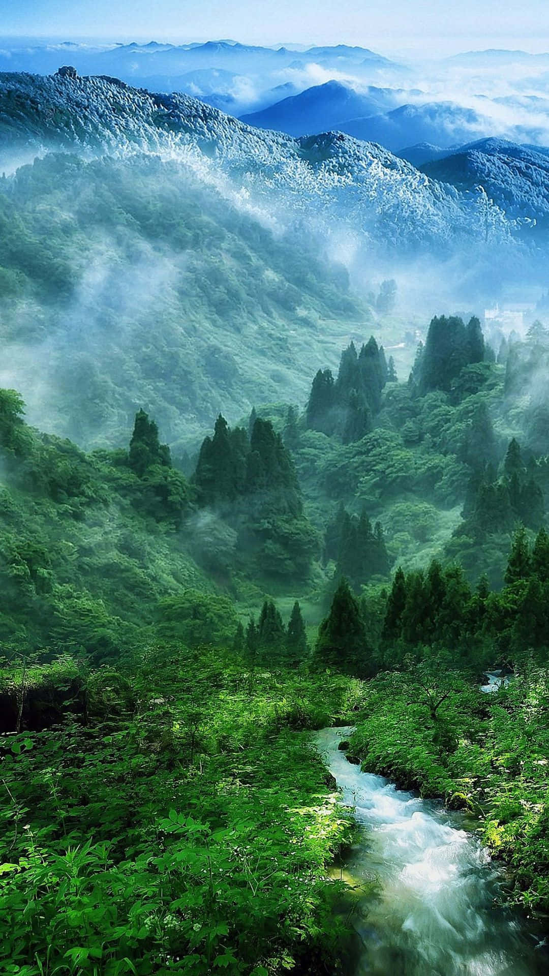 ป่าเขียวสวยงาม สำหรับ Android ธรรมชาติ วอลเปเปอร์