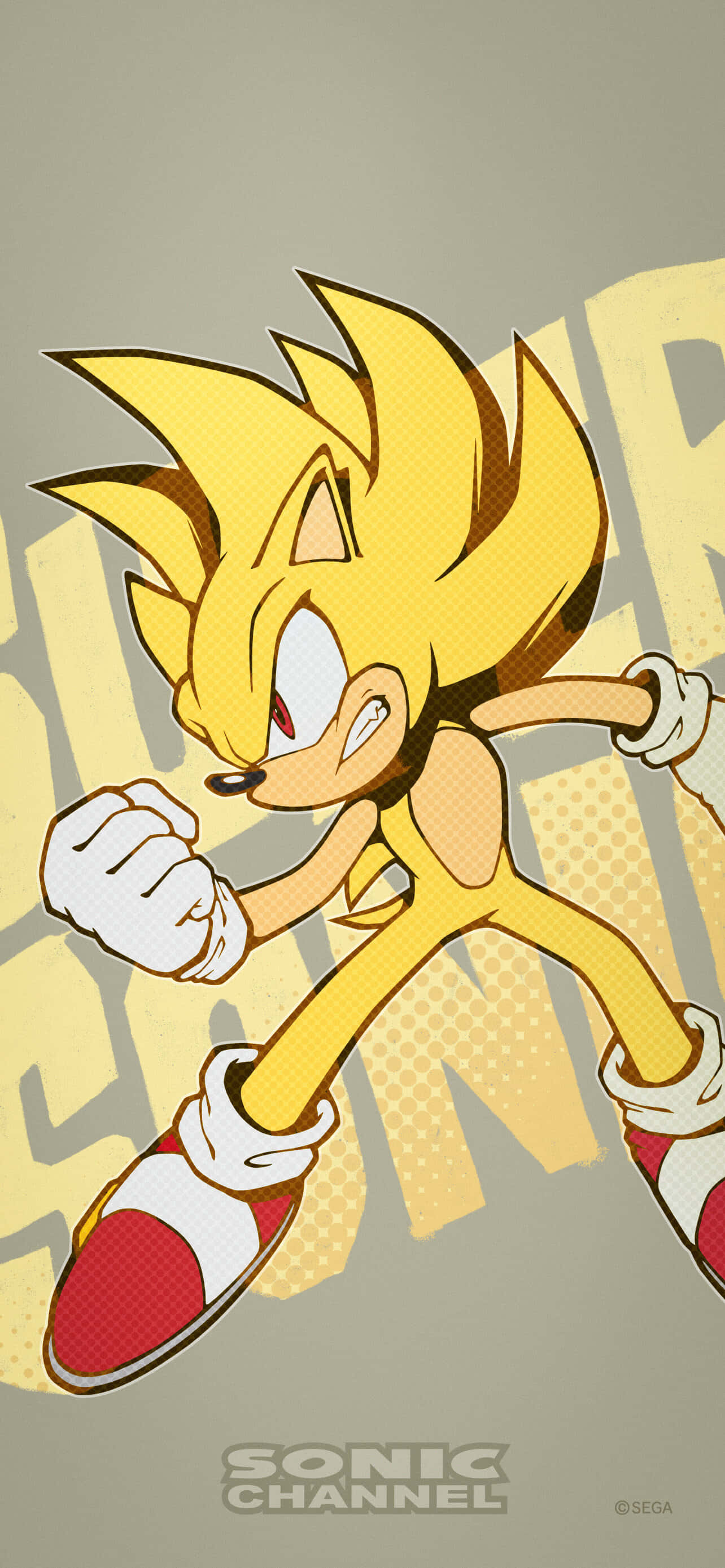 พบกับ Super Sonic เม่นที่เร็วที่สุดในโลก วอลเปเปอร์