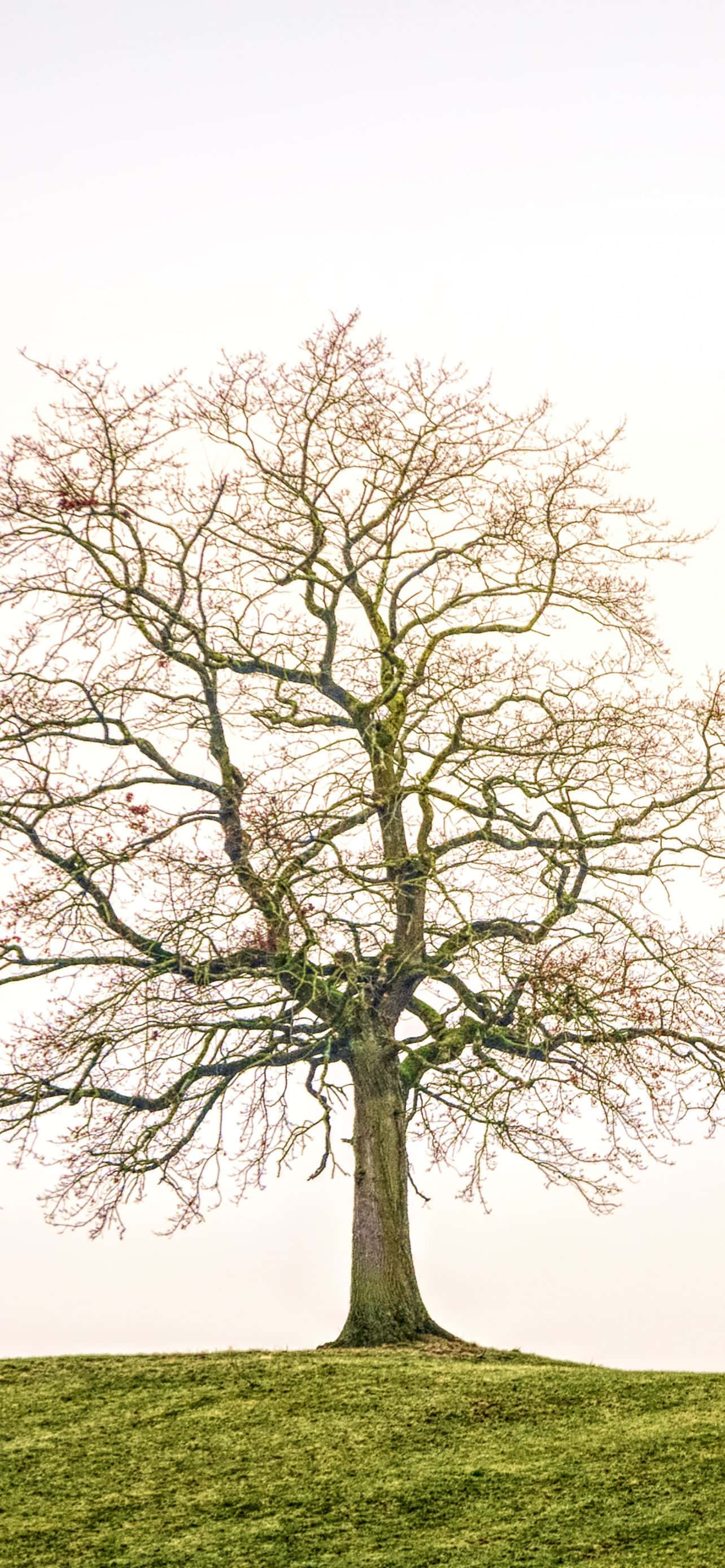 พระอาทิตย์ขึ้นสวยงามเหนือหน้าผาหิน วอลเปเปอร์