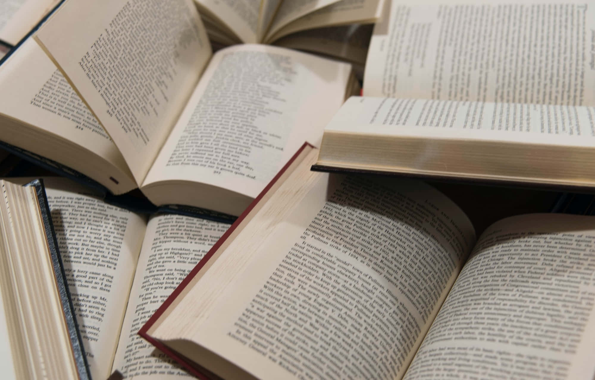พลิกอ่านหนังสือคลาสสิกยามเย็น พร้อมดื่มด่ำกับความสุขในการอ่าน วอลเปเปอร์