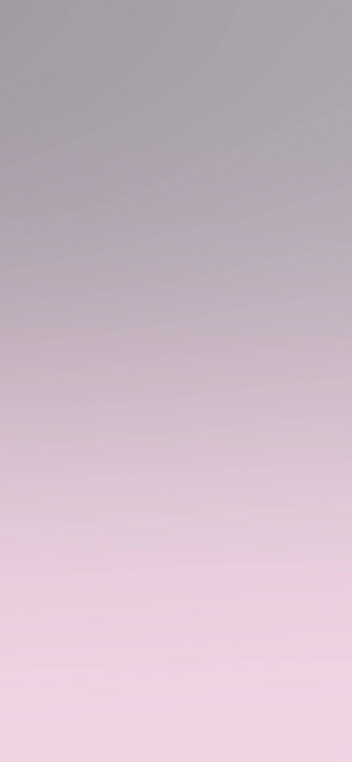 พื้นหลัง iPhone สีม่วงอ่อนหรูหรา วอลเปเปอร์