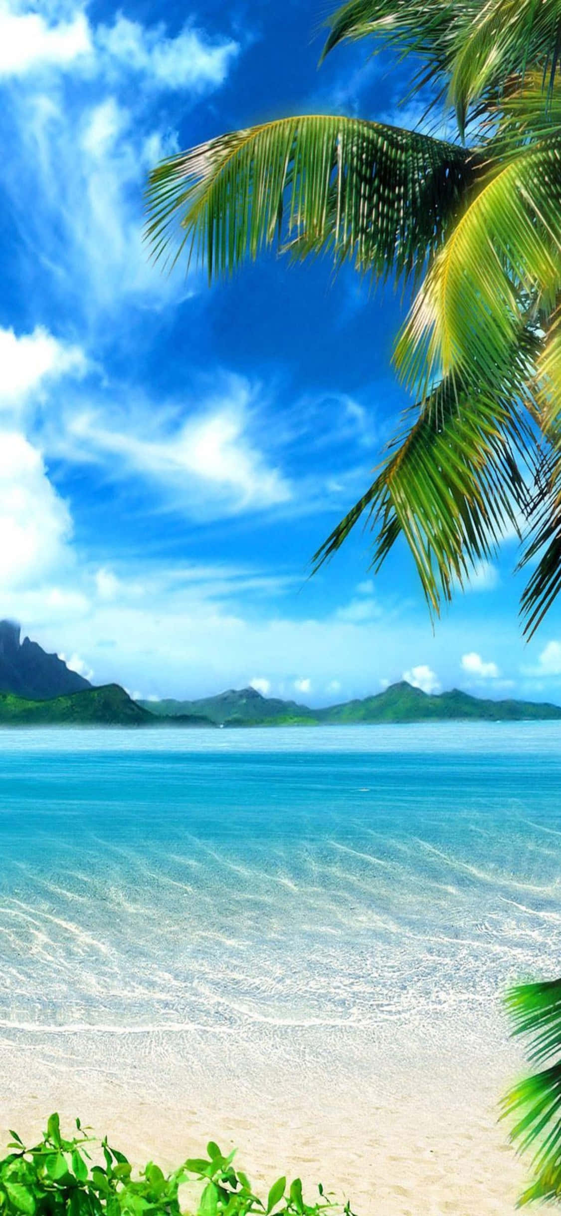 พื้นหลัง iPhone XS ชายหาดแคริบเบียน วอลเปเปอร์