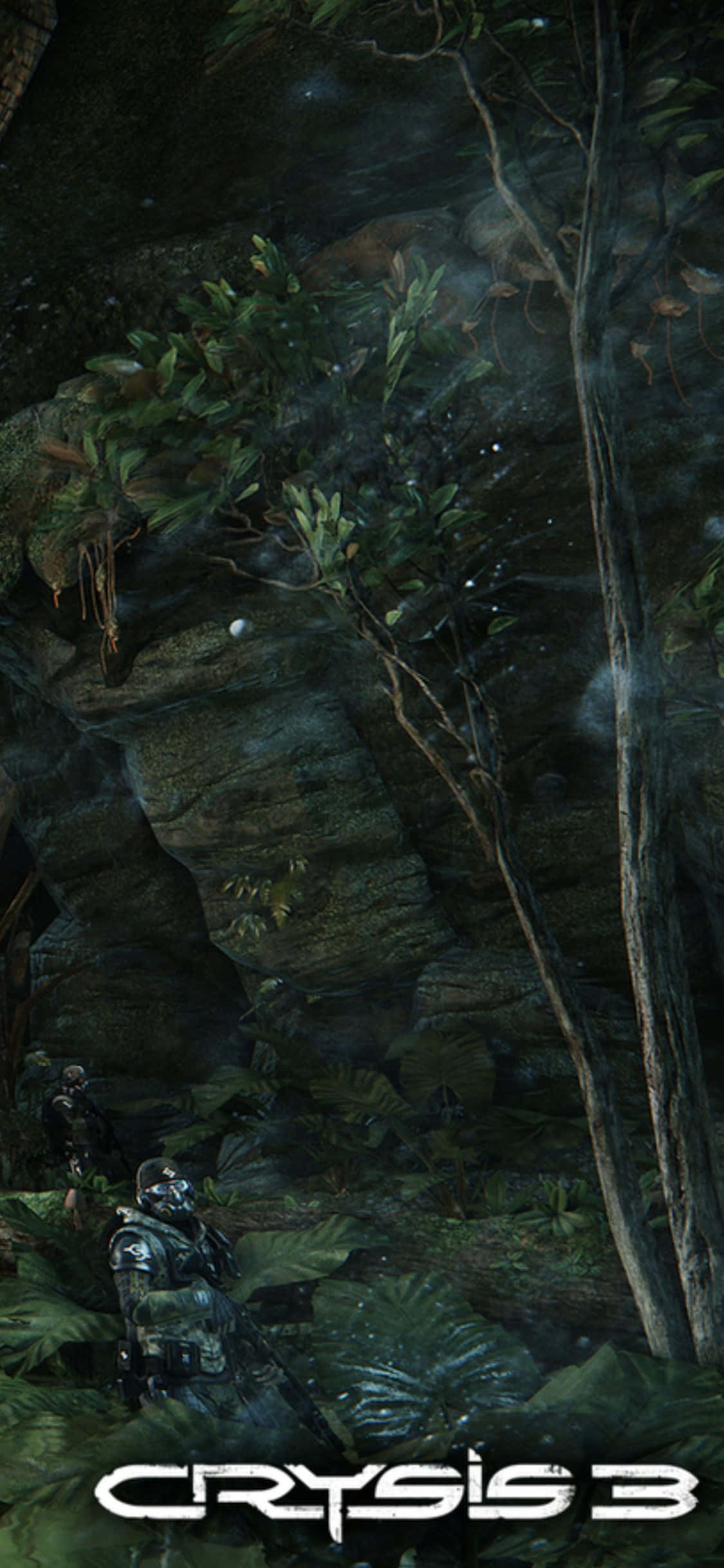 พื้นหลังป่าเขียว iPhone X Crysis 3 วอลเปเปอร์