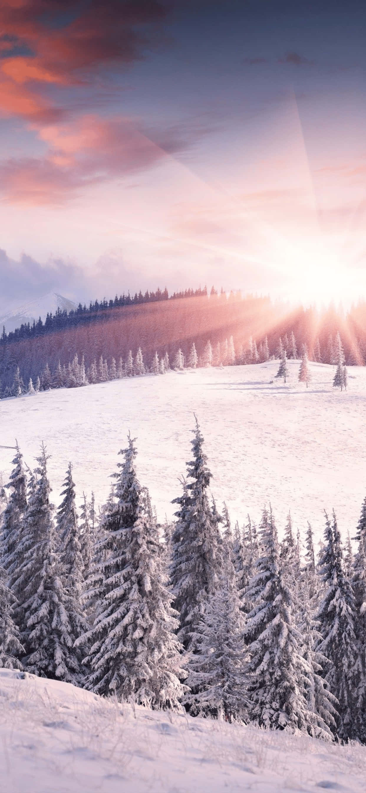 พื้นหลังฤดูหนาว Snowy Mountain Hill สำหรับ iPhone XS Max วอลเปเปอร์