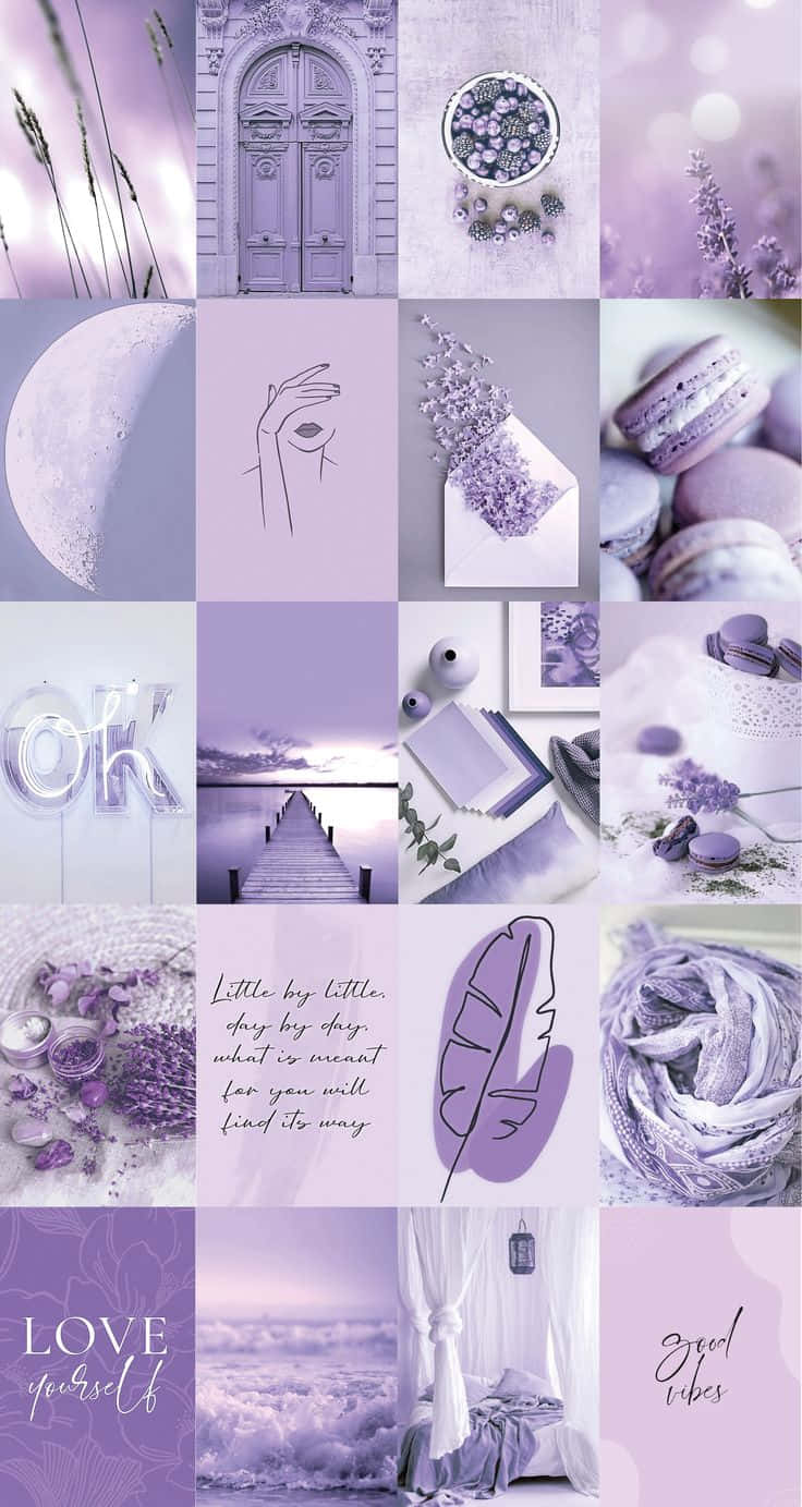 พื้นหลังสวยงามสีม่วงลาเวนเดอร์พาสเทล — สีม่วงสวยงาม GIF วอลเปเปอร์