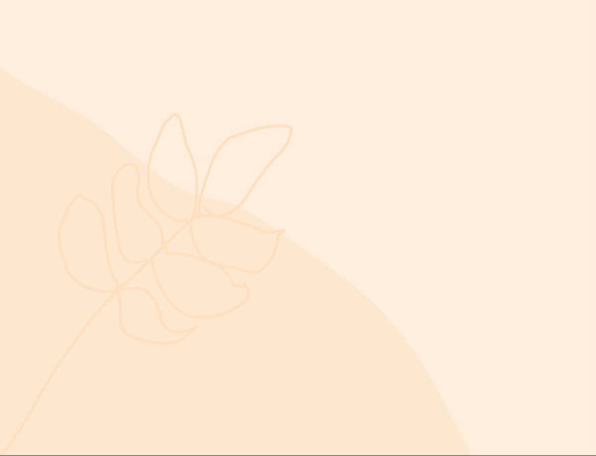 พื้นหลังสีครีม — สีเบจ สุนทรียภาพ GIF วอลเปเปอร์