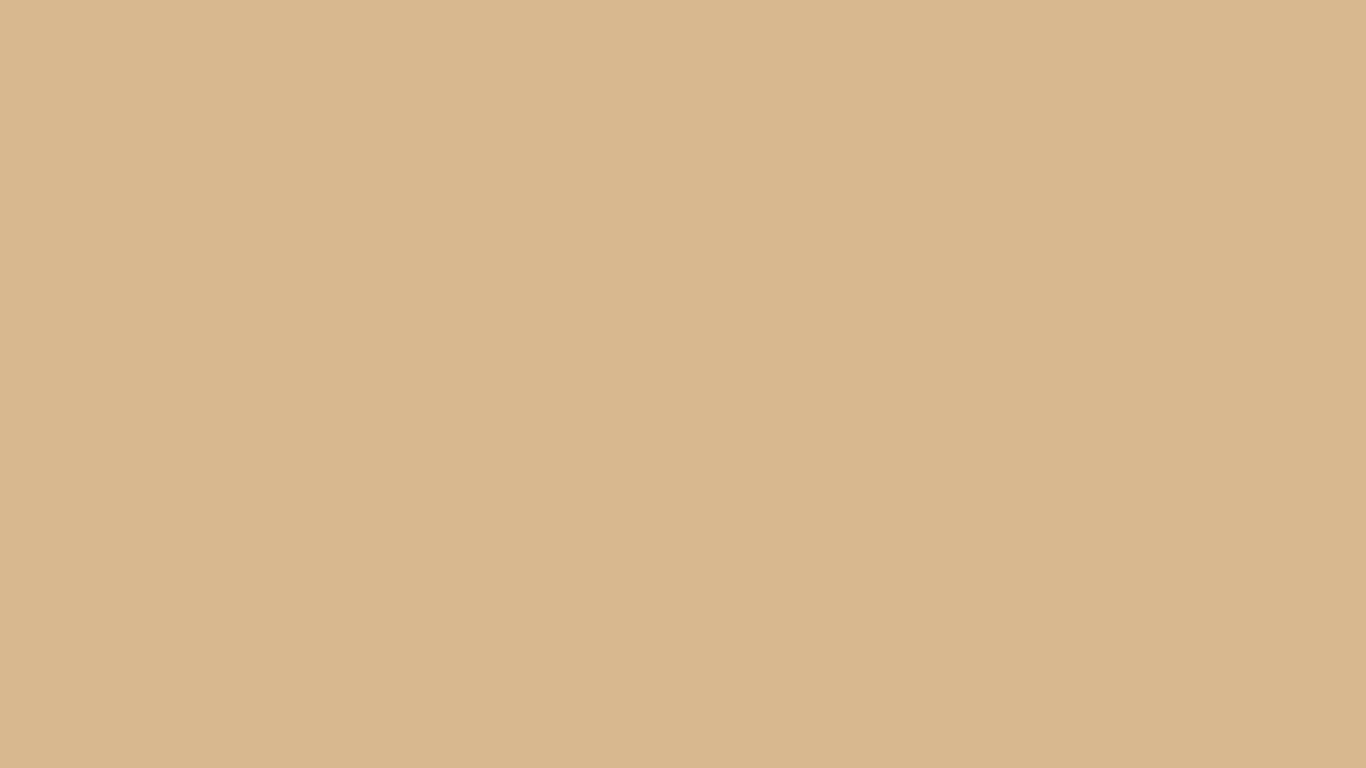 พื้นหลังสีเบจเรียบ — สีเบจ สุนทรียภาพ GIF วอลเปเปอร์