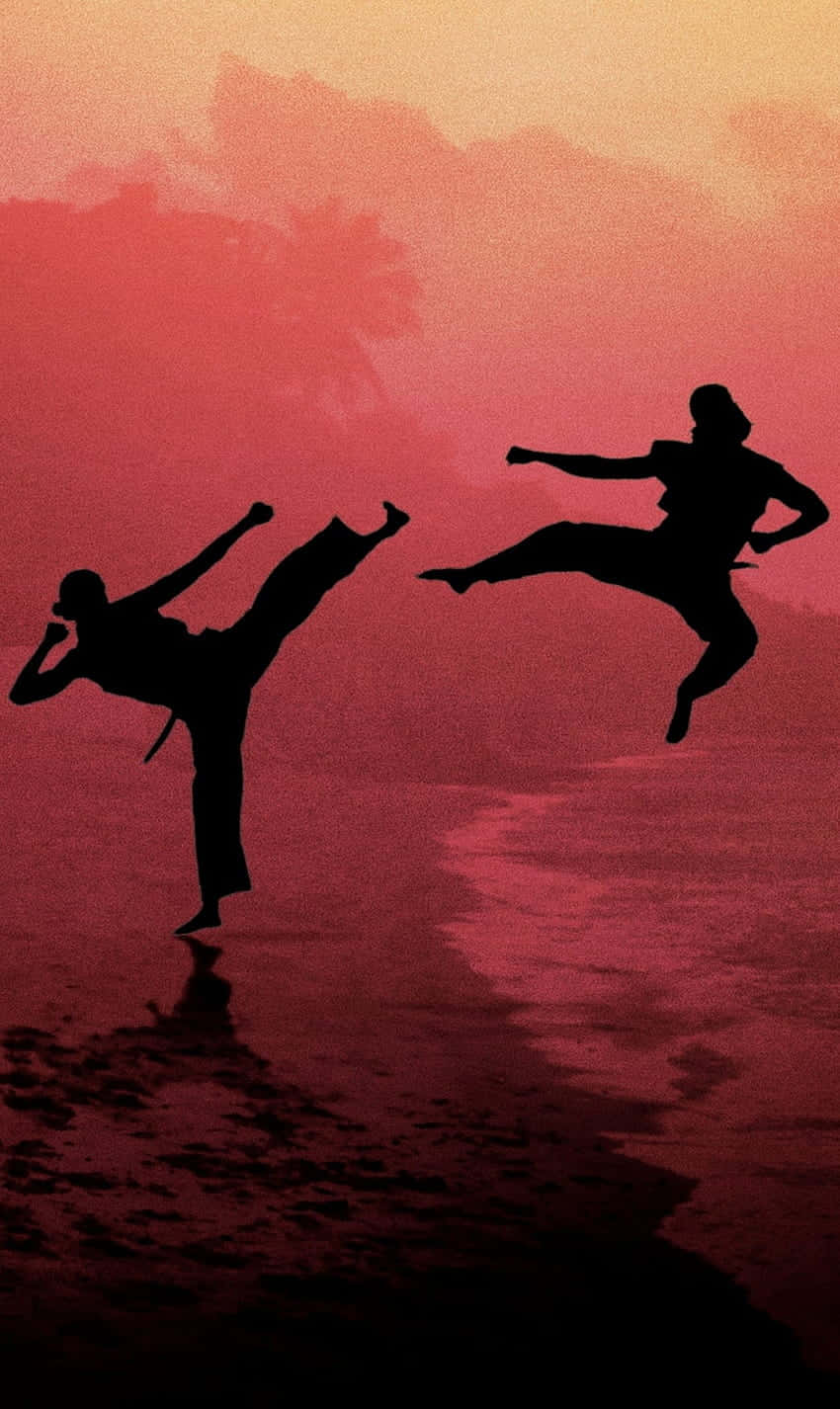 พื้นหลังเงาตะลุย Cobra Kai iPhone Xr วอลเปเปอร์