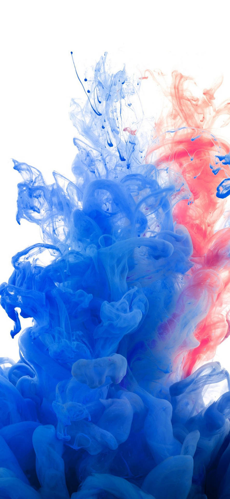 วอลเปเปอร์ควันศิลปะ Samsung Galaxy S22 — ซัมซุง กาแลคซี่ S22 GIF วอลเปเปอร์