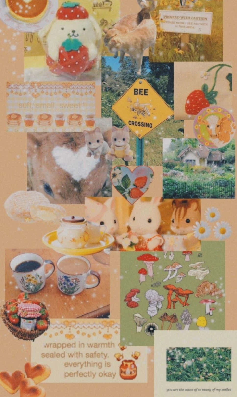 ภาพคิทคอร์ วอลเปเปอร์