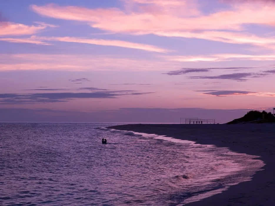ภาพชายหาดสวยงามโทนสีม่วง วอลเปเปอร์