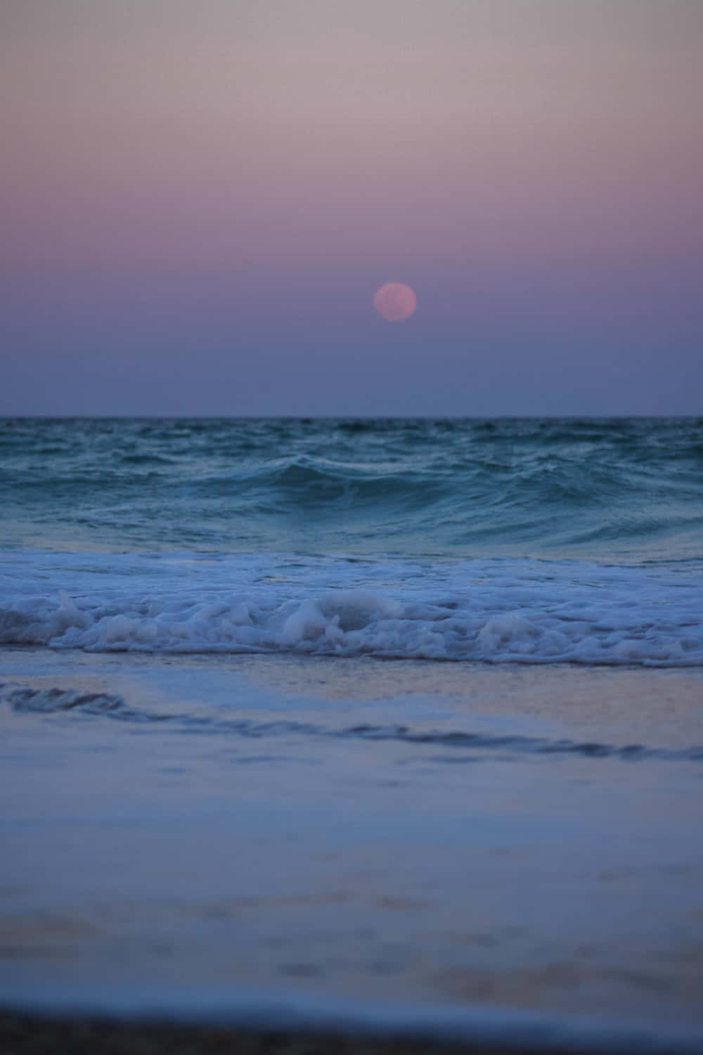 ภาพชายหาดสีม่วงสวยงาม วอลเปเปอร์