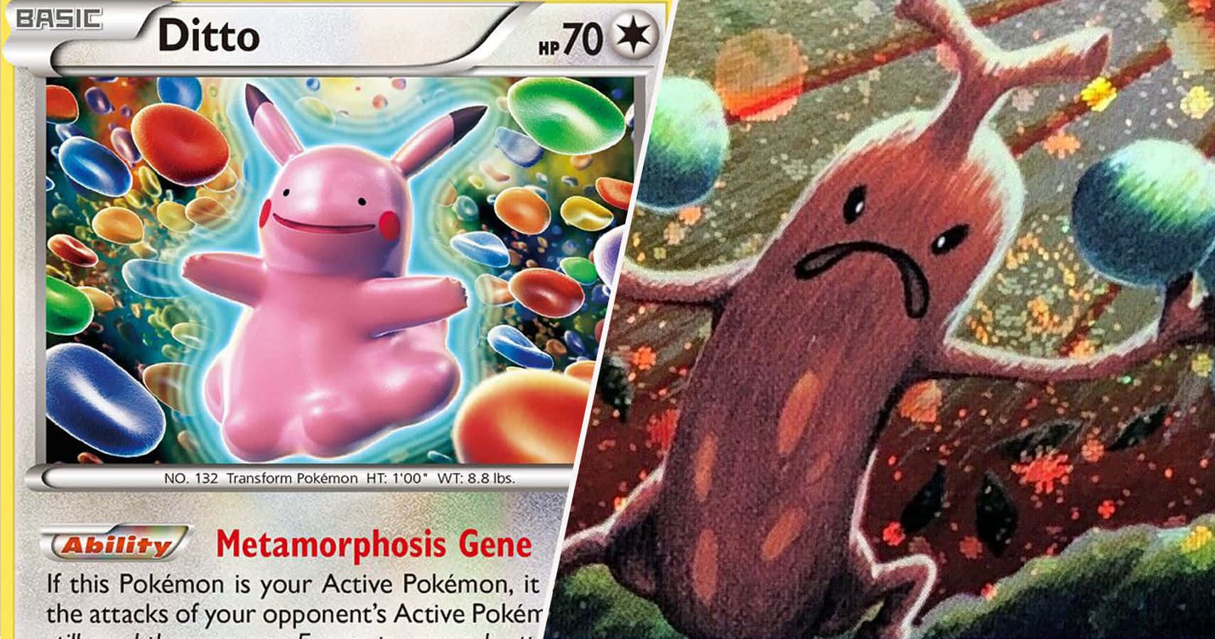 ภาพตลกของโปเกมอน Ditto วอลเปเปอร์