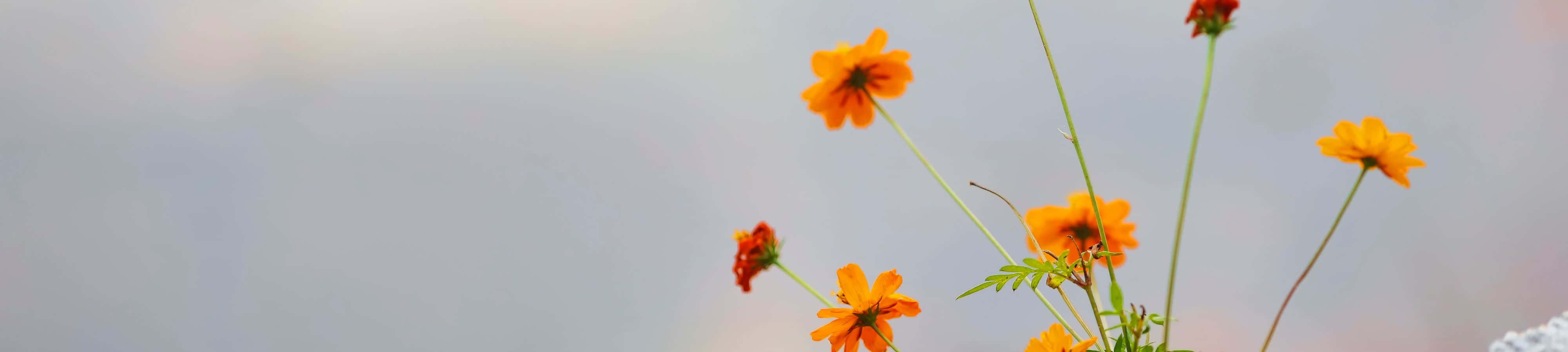 ภาพทิวทัศน์ธรรมชาติสวยงามริมทะเลสาบและภูเขา วอลเปเปอร์