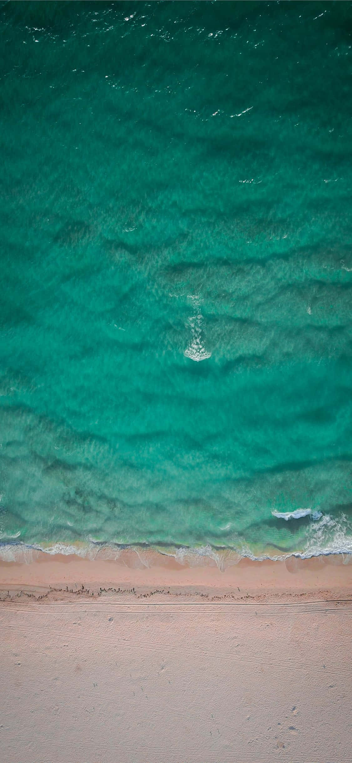 ภาพน้ำทะเลสีเขียวของหาดไมอามี วอลเปเปอร์