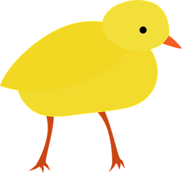 ภาพประกอบการ์ตูนลูกไก่สีเหลือง วอลเปเปอร์
