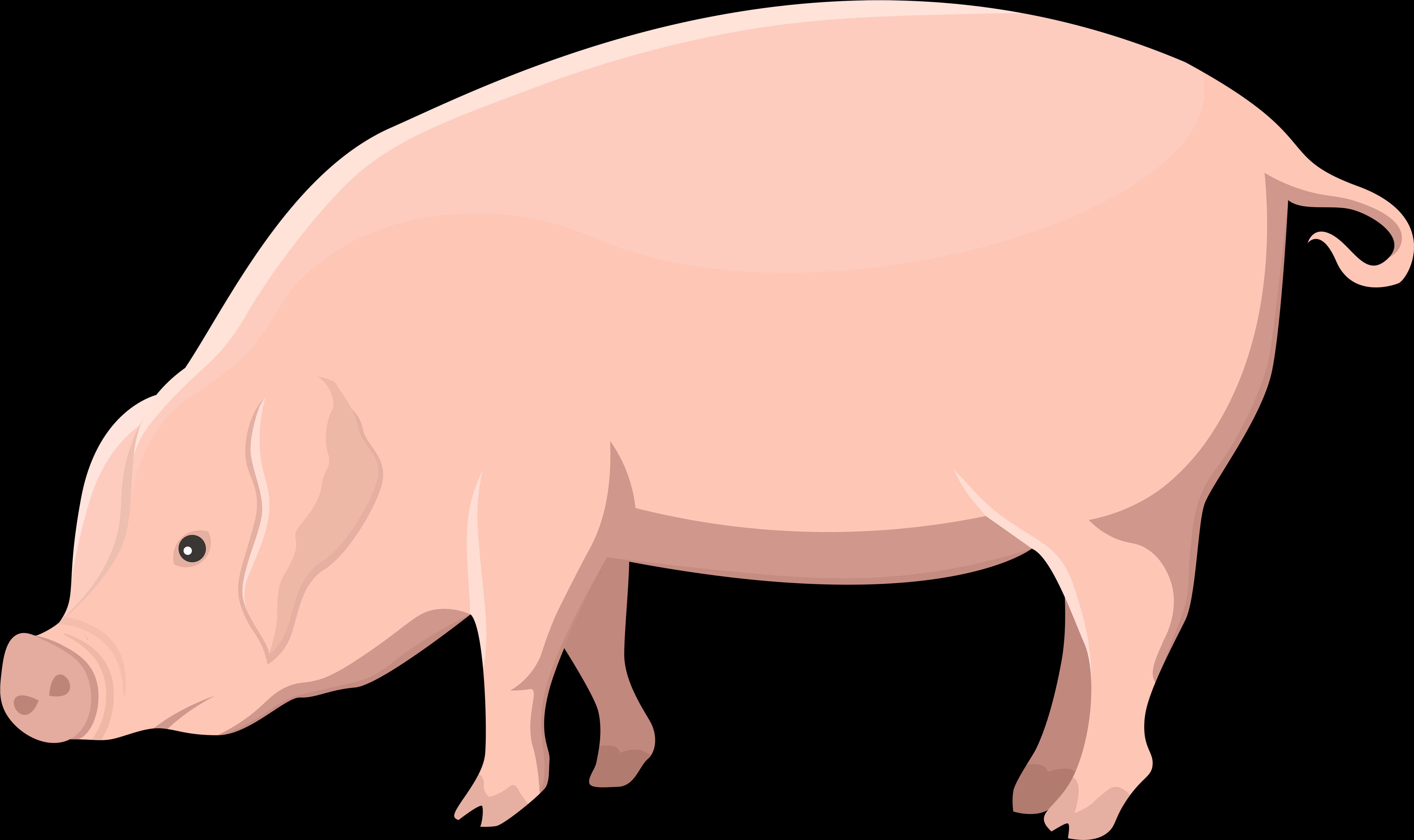 ภาพประกอบหมูการ์ตูน วอลเปเปอร์