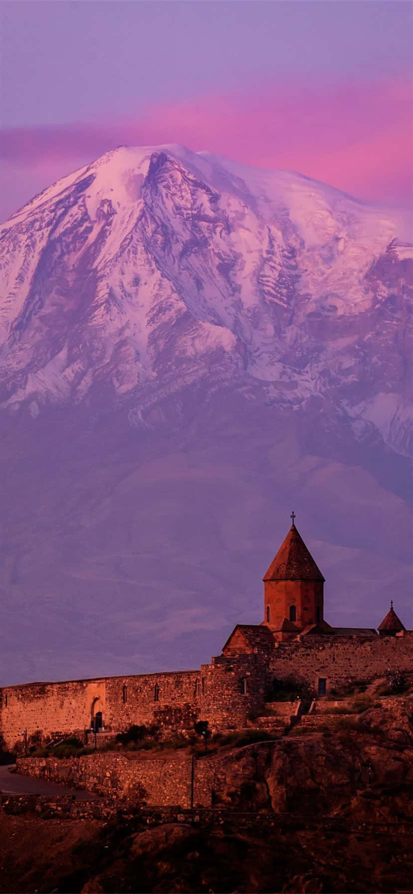 ภาพม่วงสวยงามของคอร์ วิรัป วอลเปเปอร์