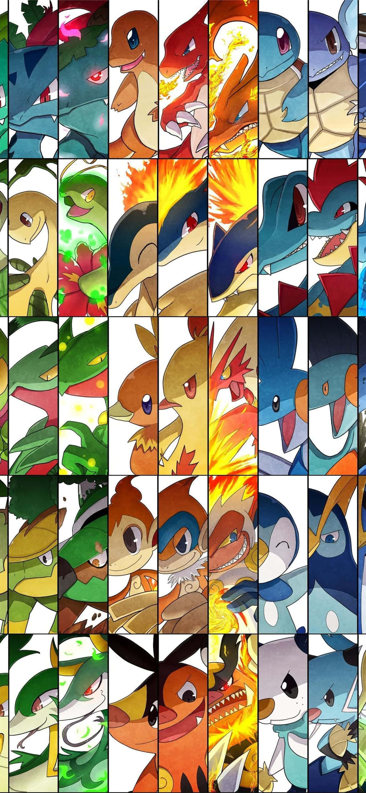 ภาพรวมวิวัฒนาการโปเกมอน featuring Meganium วอลเปเปอร์
