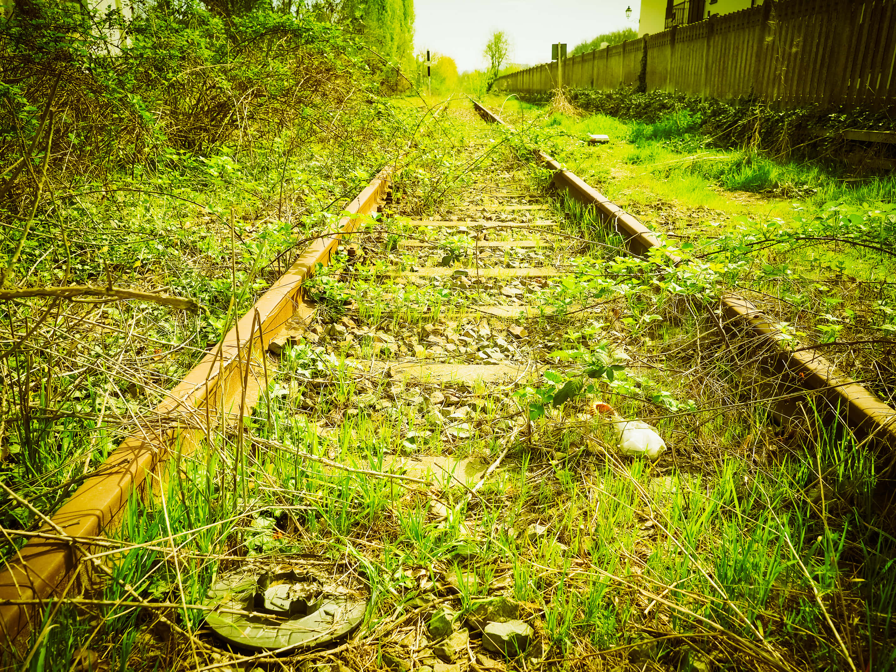 ภาพรางรถไฟและพืชพรรณ วอลเปเปอร์