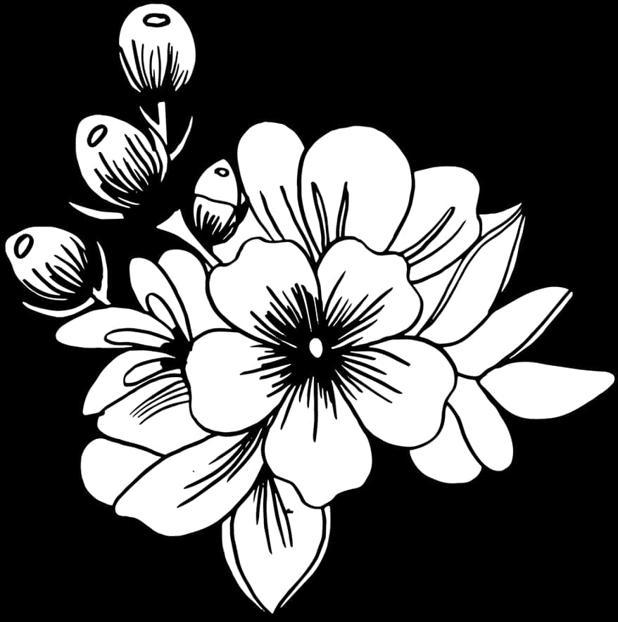 ภาพวาดดอกไม้ขาวดำ วอลเปเปอร์