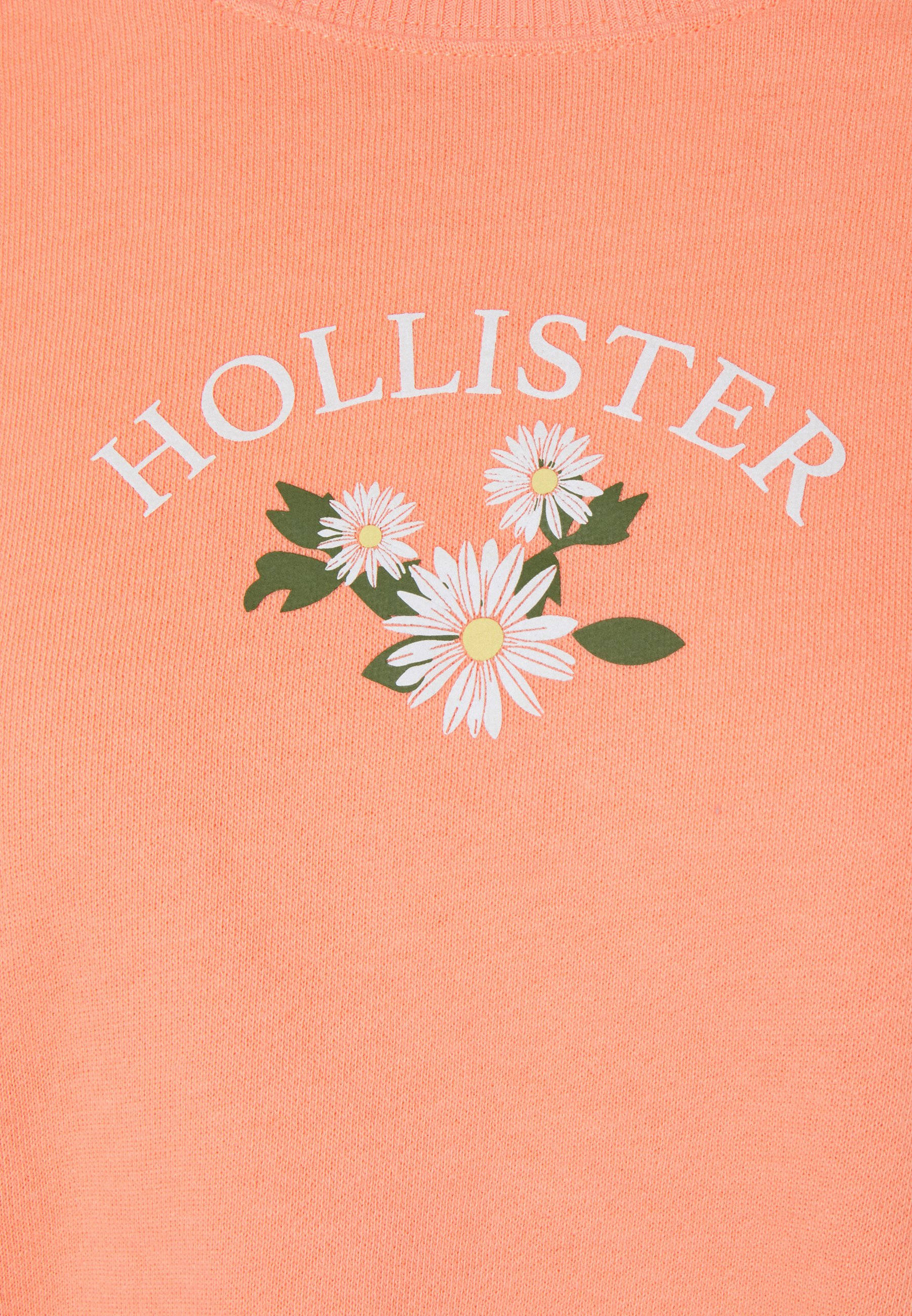 ภาพวาดดอกไม้สีขาวสามดอก Hollister วอลเปเปอร์