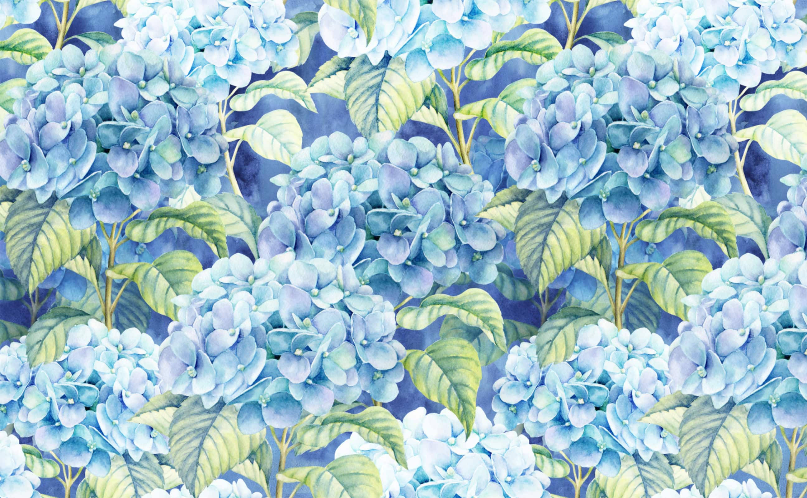 ภาพวาดดอกไฮเดรนเยียสีฟ้าอ่อน วอลเปเปอร์