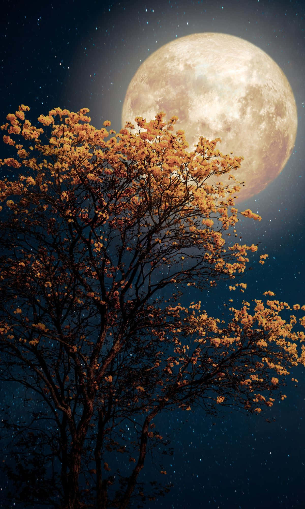 ภาพวาดนามธรรมหลากสีสันของรูปทรง ลวดลาย และวัสดุต่างๆ วอลเปเปอร์