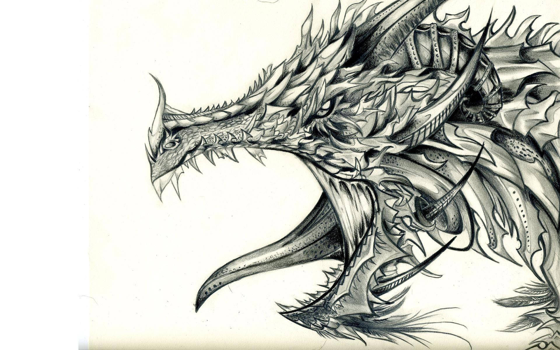 ภาพวาดมังกรเกราะเท่ๆ วอลเปเปอร์