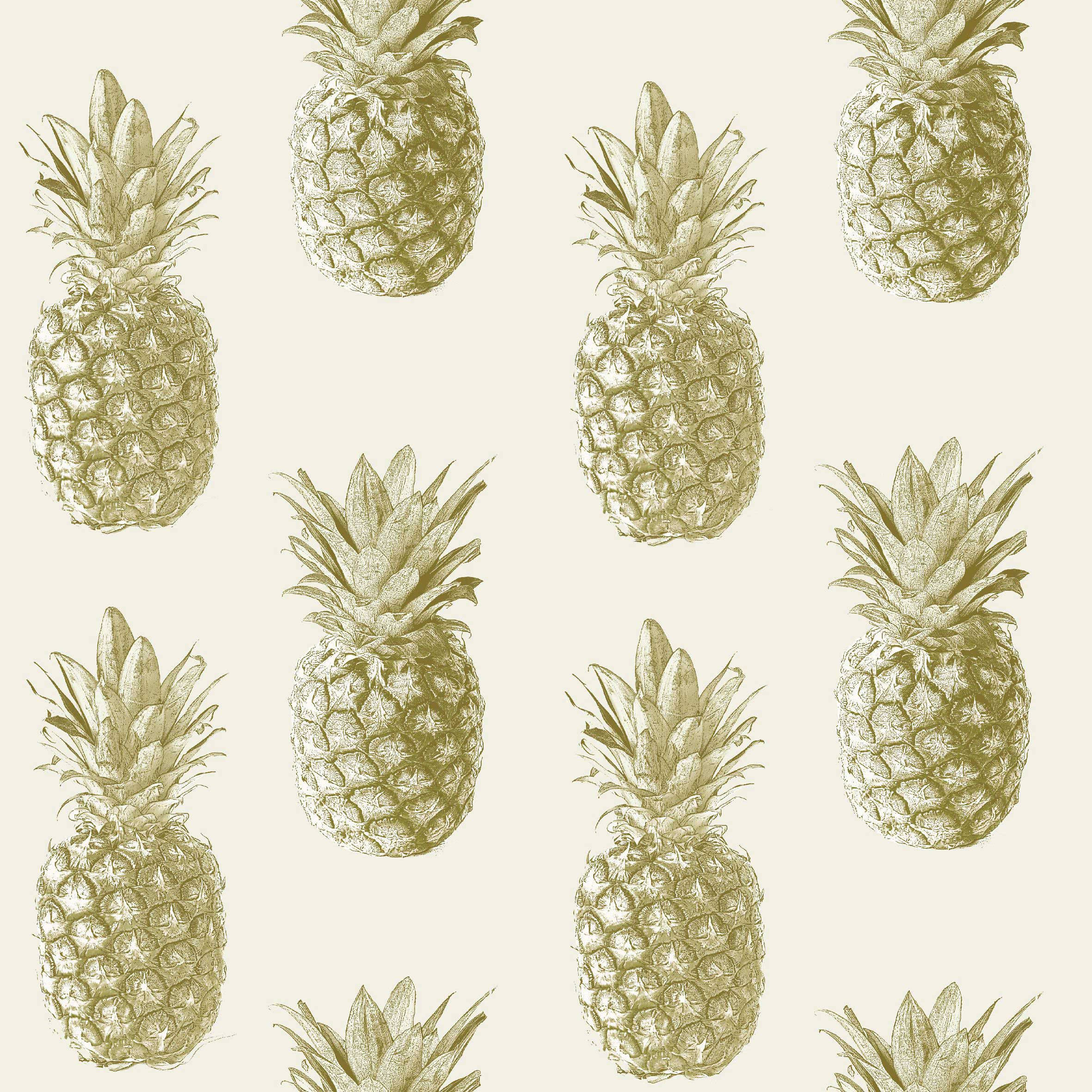 ลายภาพวาดสับปะรดหวาน วอลเปเปอร์