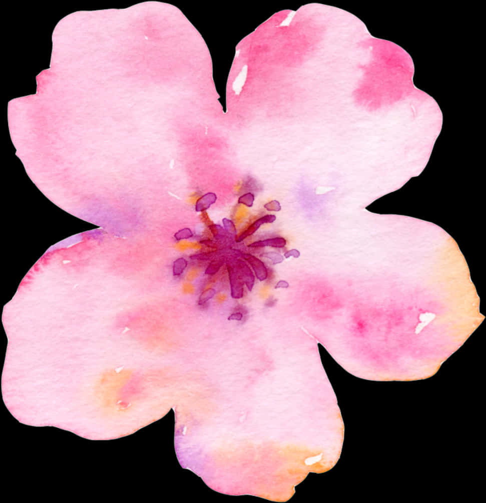 ภาพวาดสีน้ำดอกซากุระ วอลเปเปอร์