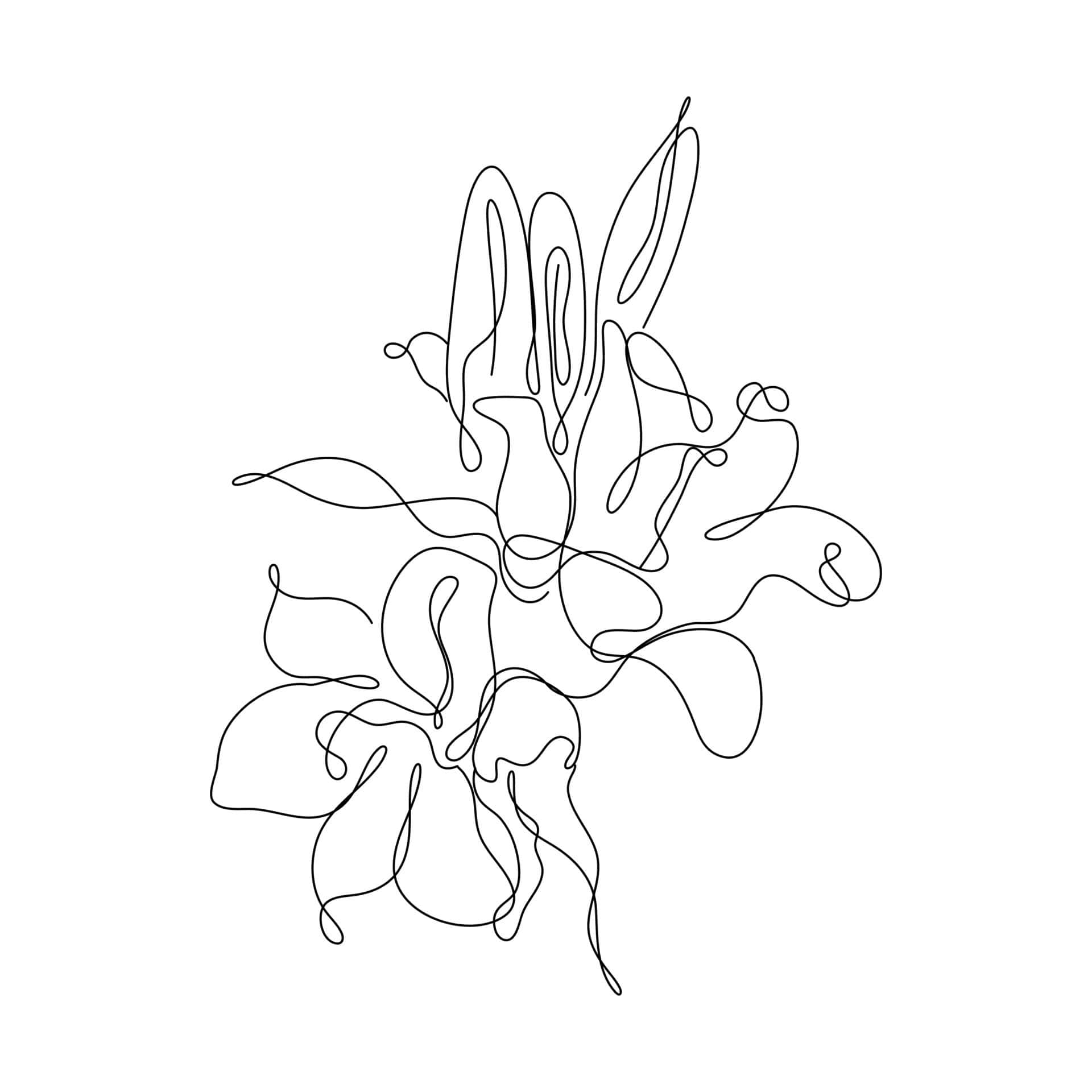 ภาพวาดเส้นของดอกไม้ วอลเปเปอร์