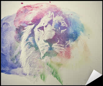 ภาพศิลปะสิงโตสีสันสวยงามสไตล์สีน้ำ วอลเปเปอร์