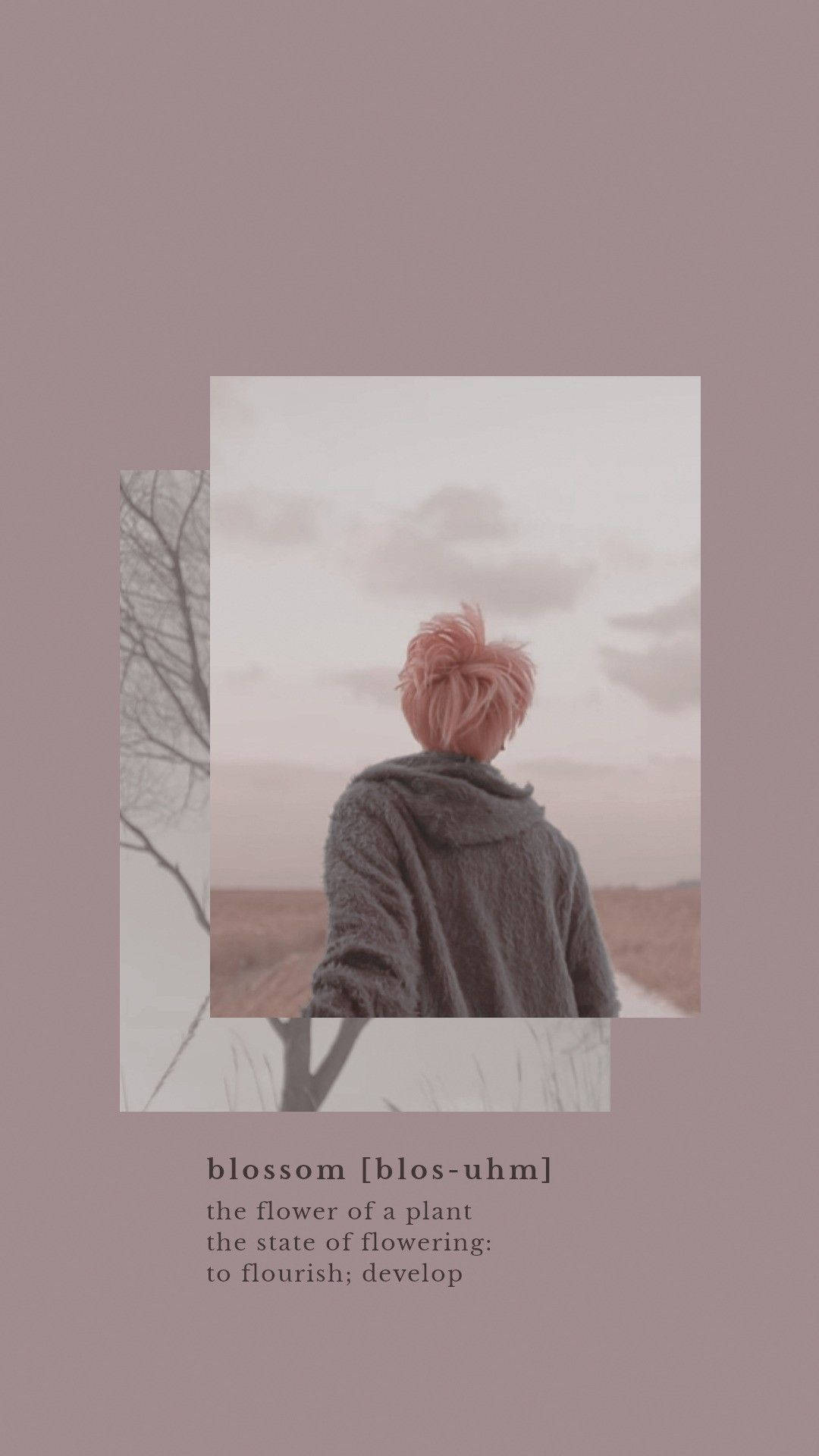 ภาพสวย BTS จีมิน ดอกไม้บาน วอลเปเปอร์