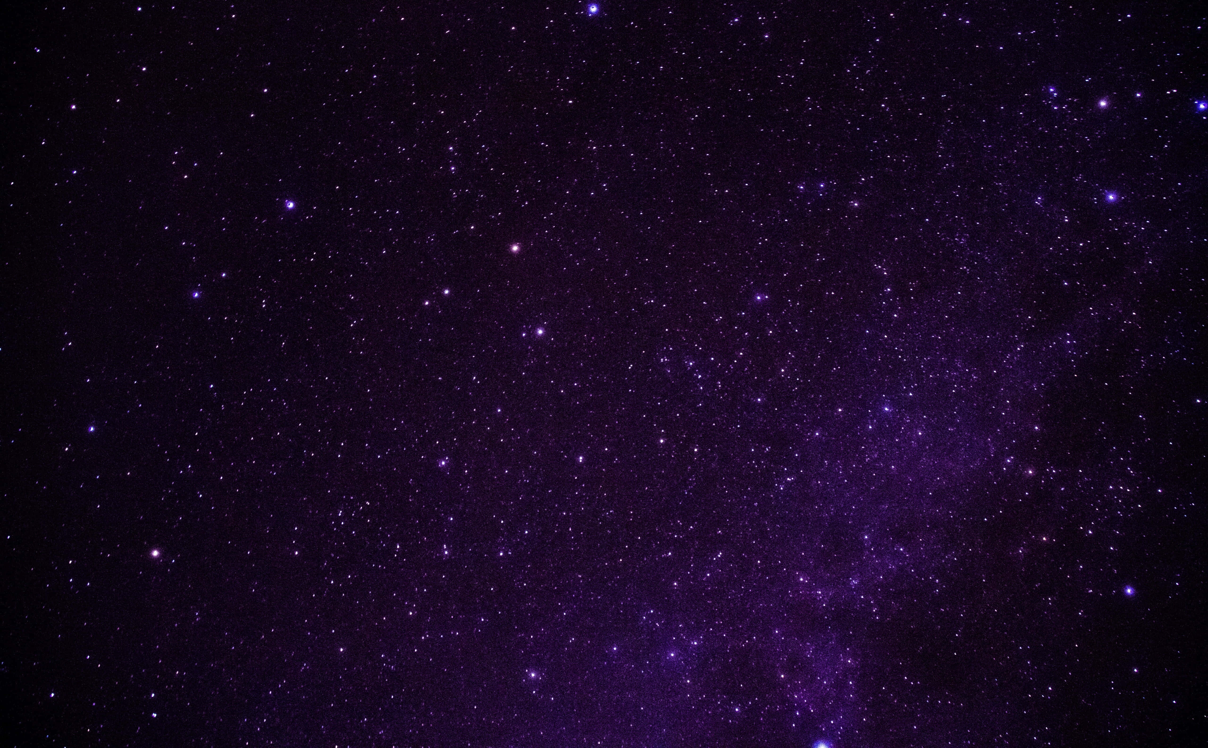 ภาพสวยโทนม่วงเข้ม วอลเปเปอร์