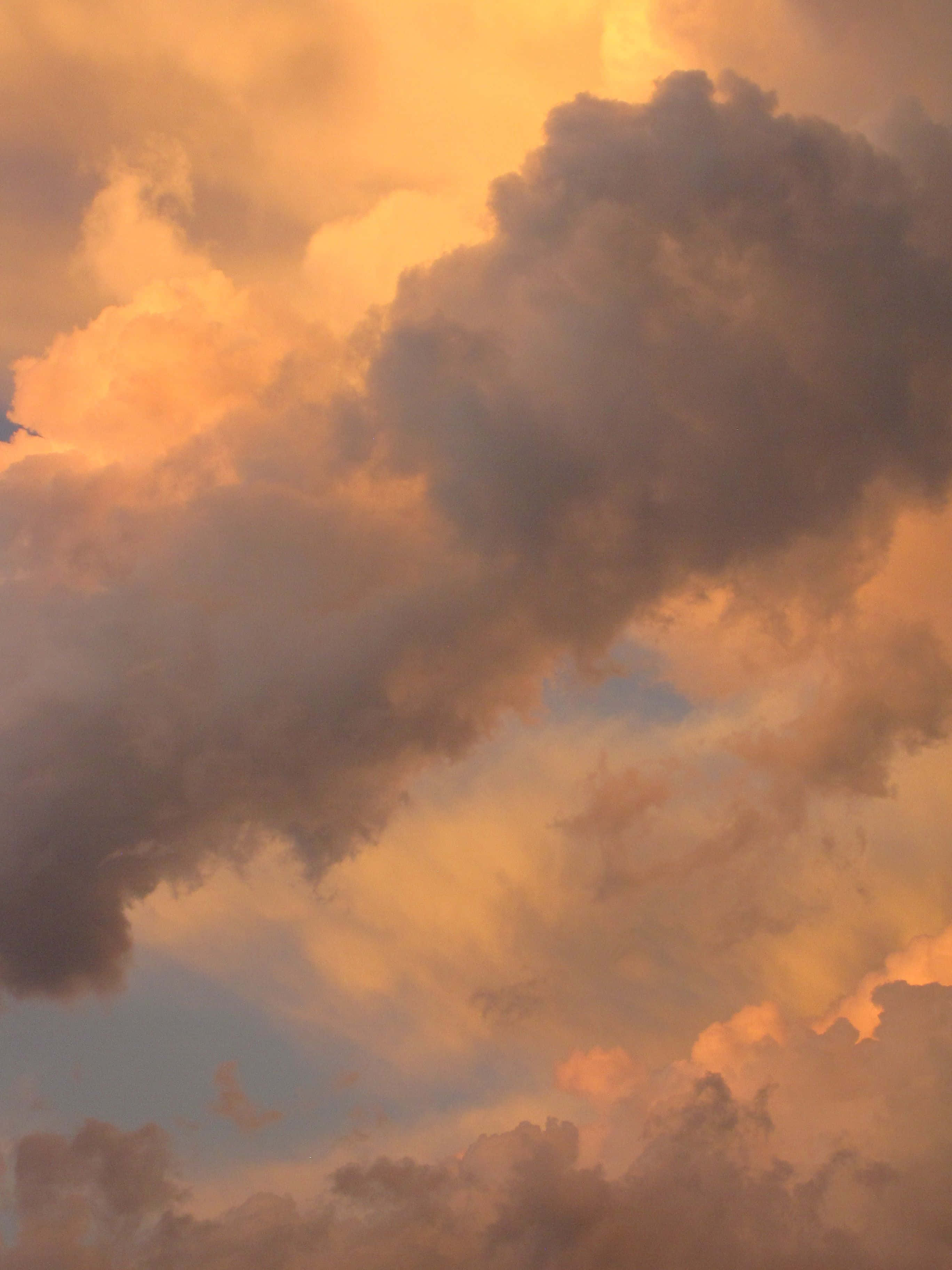 ภาพสวยโทนสีน้ำตาลอ่อน วอลเปเปอร์